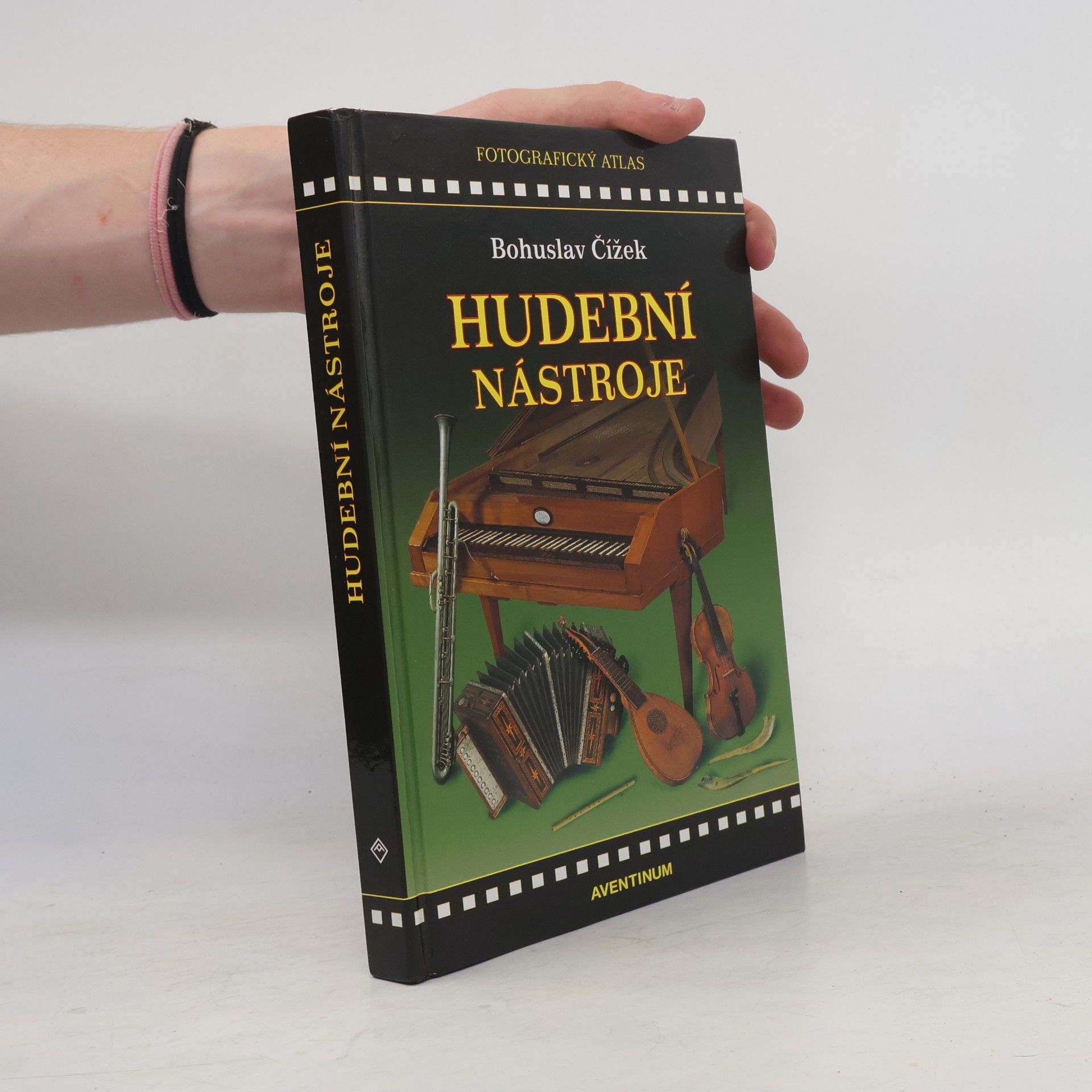 Bohuslav Čížek Hudební nástroje