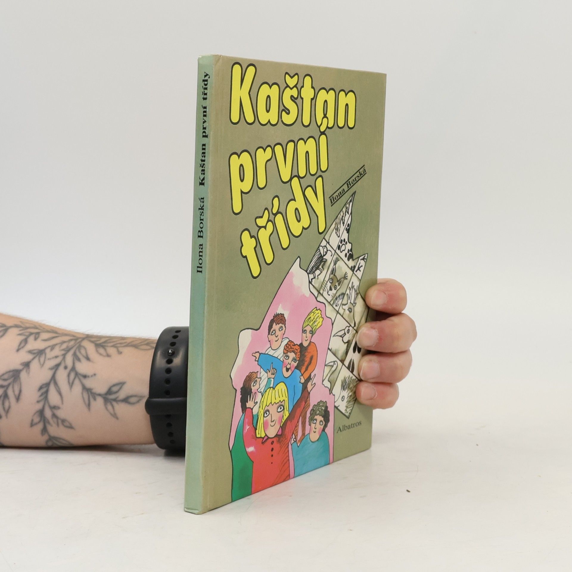 Kaštan první třídy