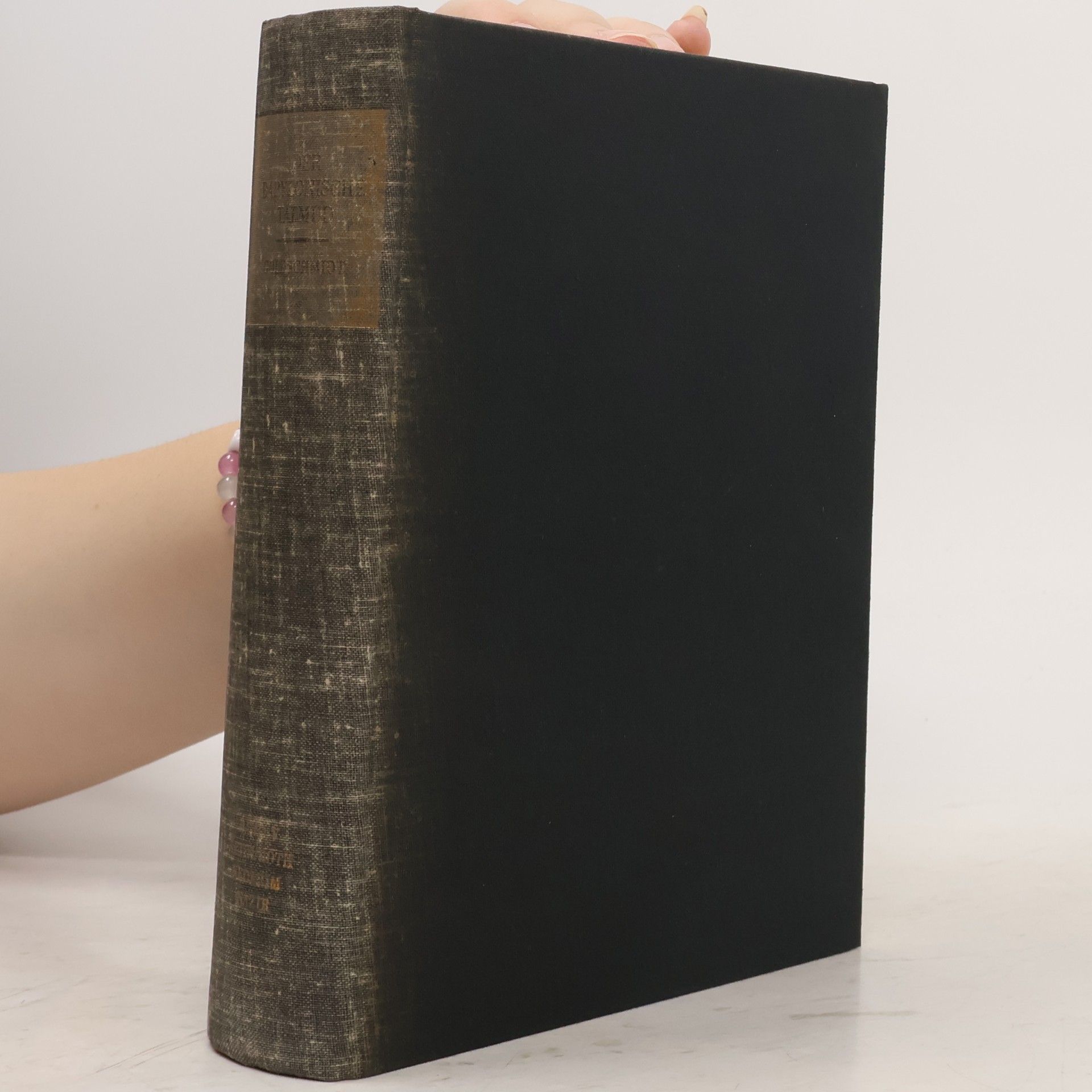 Reinhold Mayer Der Babylonische Talmud