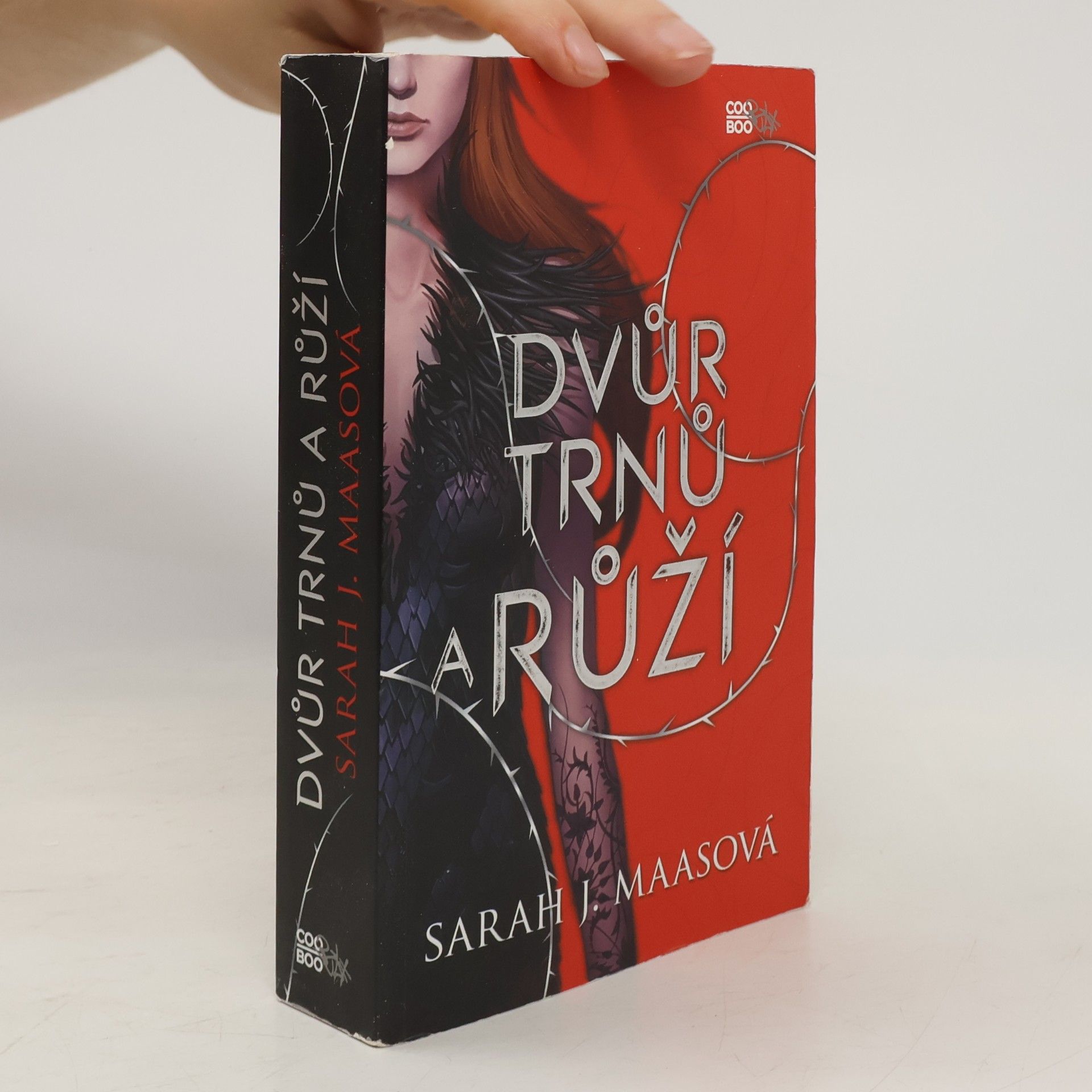 Sarah J. Maas Dvůr trnů a růží
