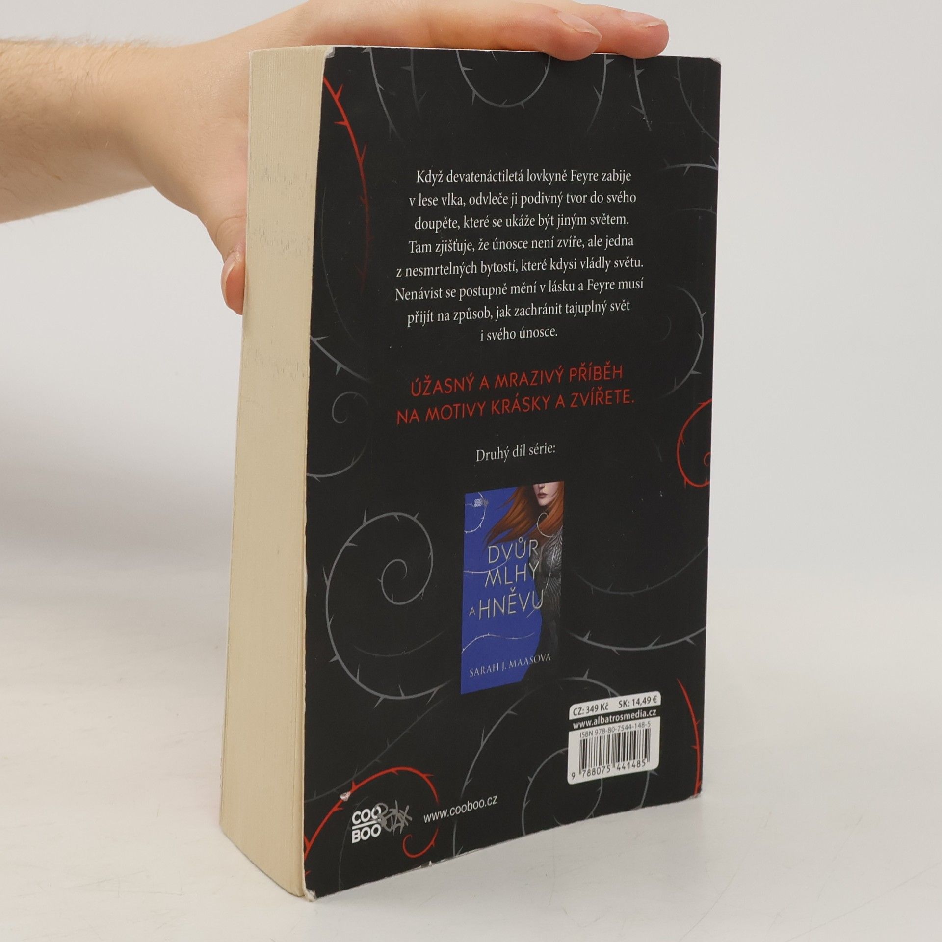 Sarah J. Maas Dvůr trnů a růží