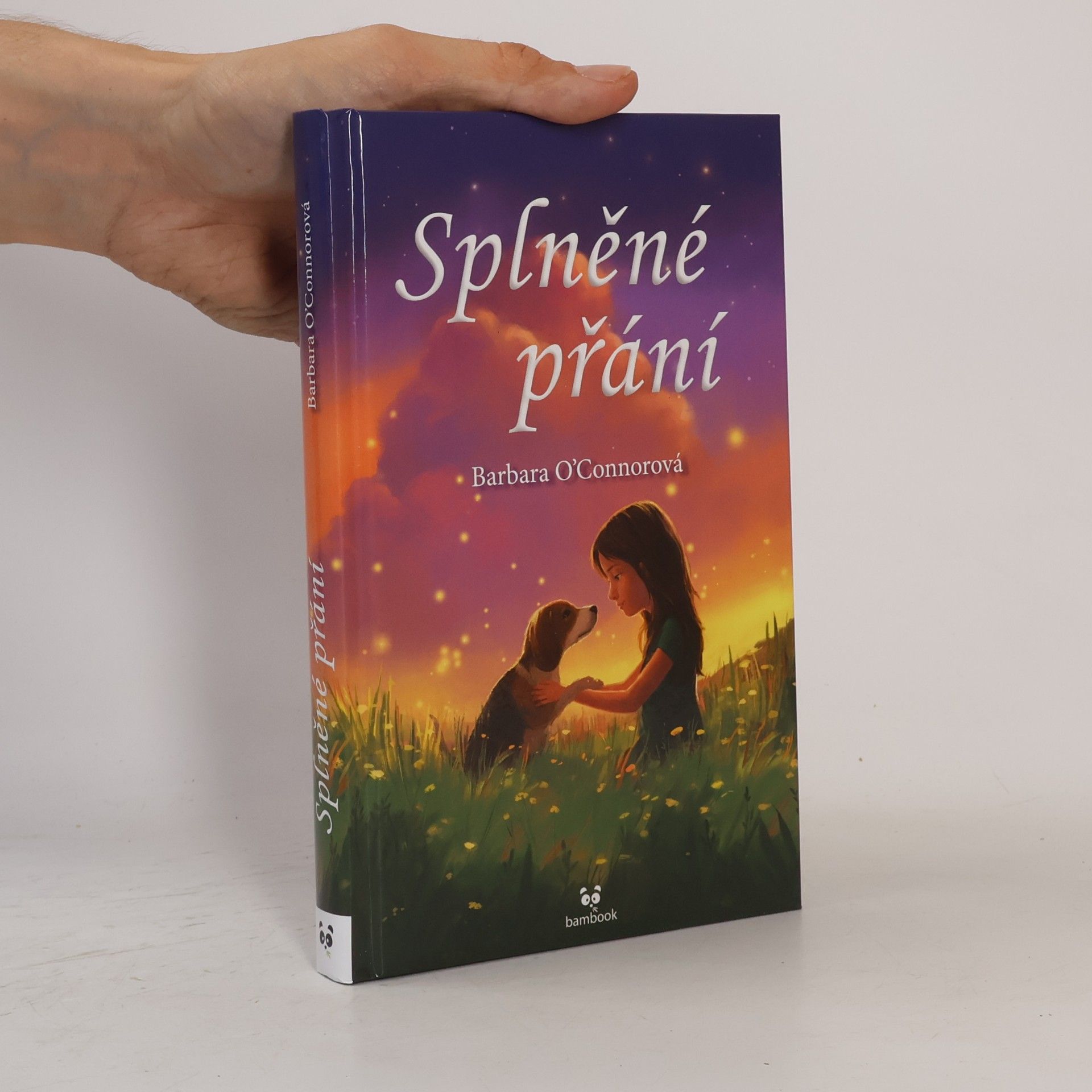 Barbara O. Connor Splněné přání