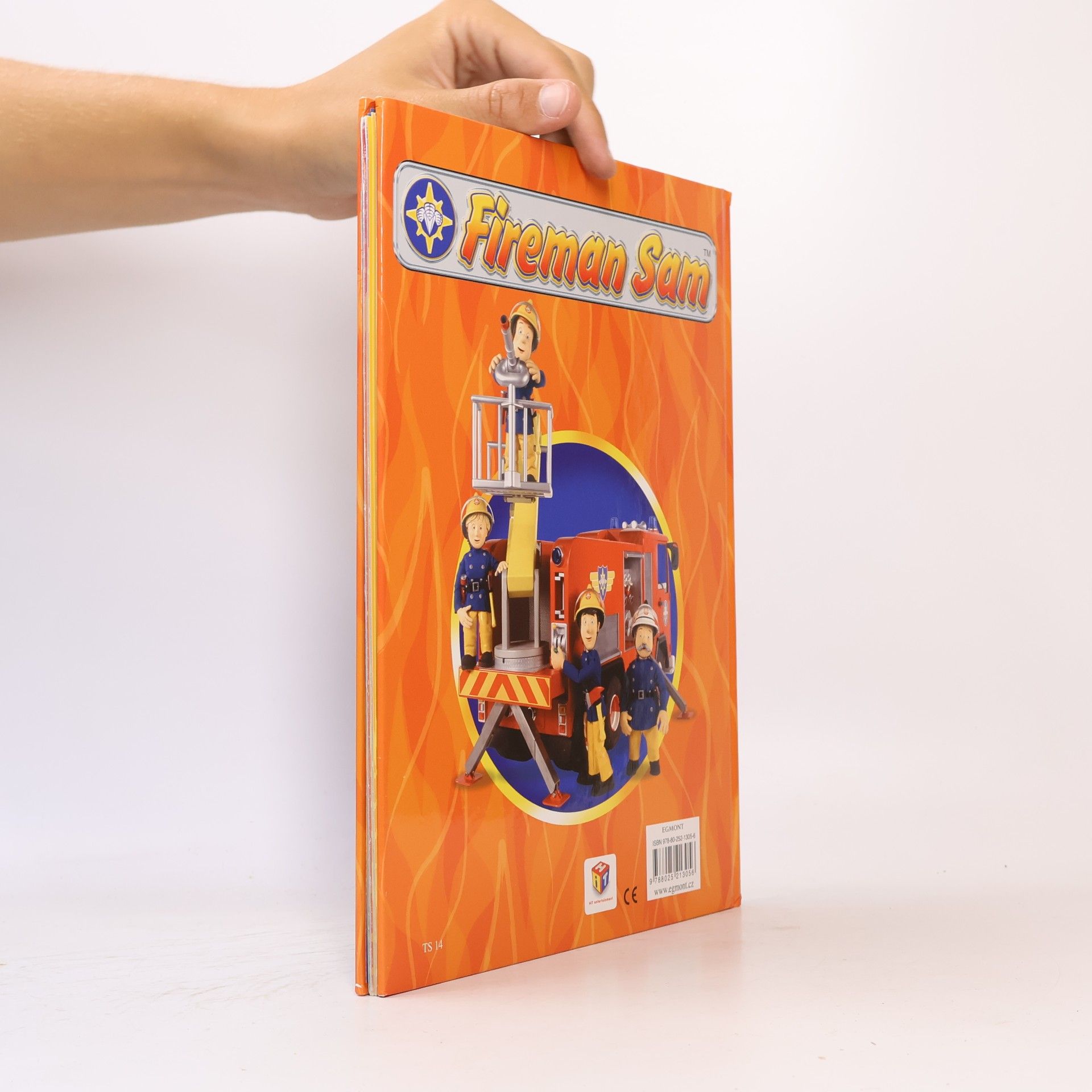 Autorenkollektiv Požárník Sam - Knížka na rok 2010