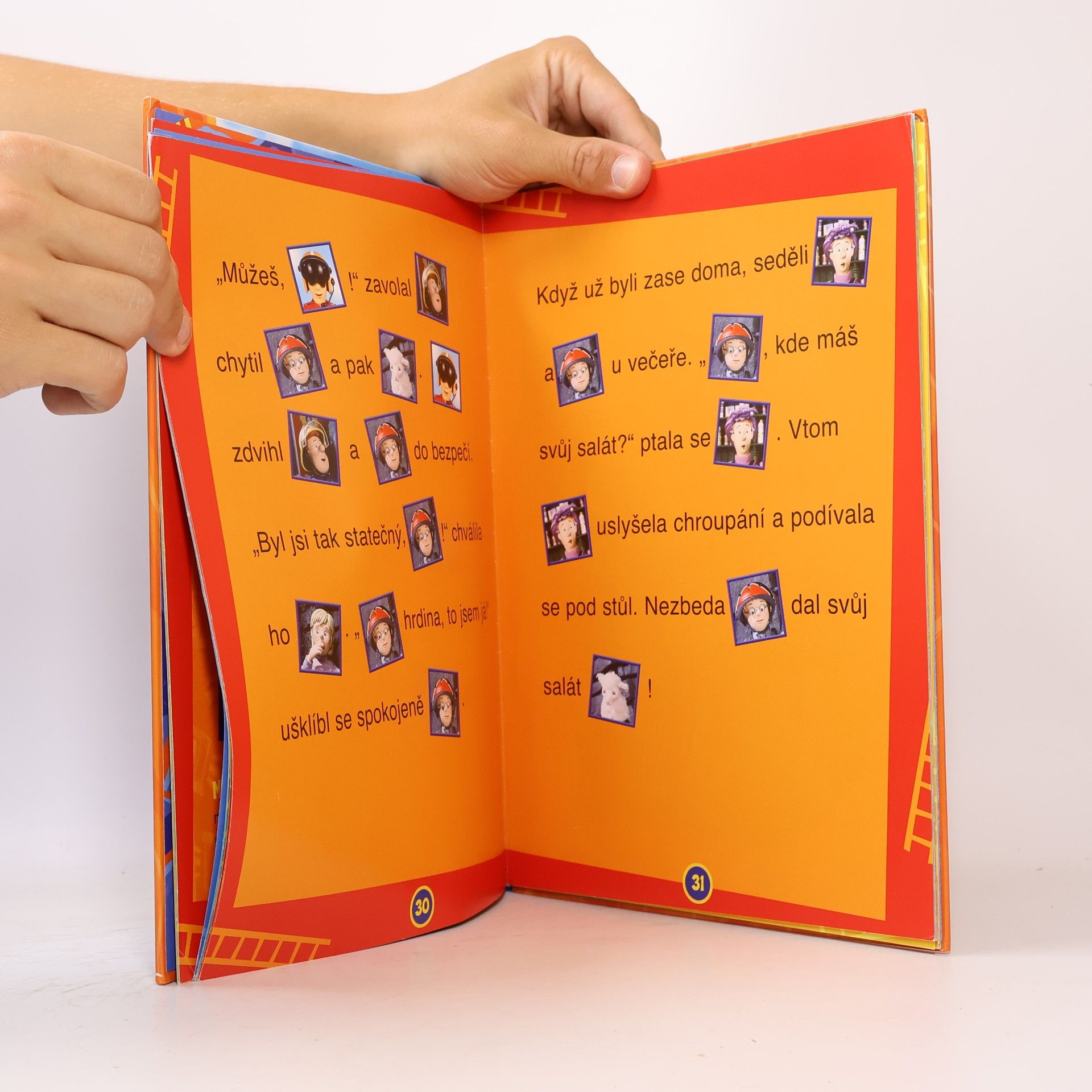 Autorenkollektiv Požárník Sam - Knížka na rok 2010