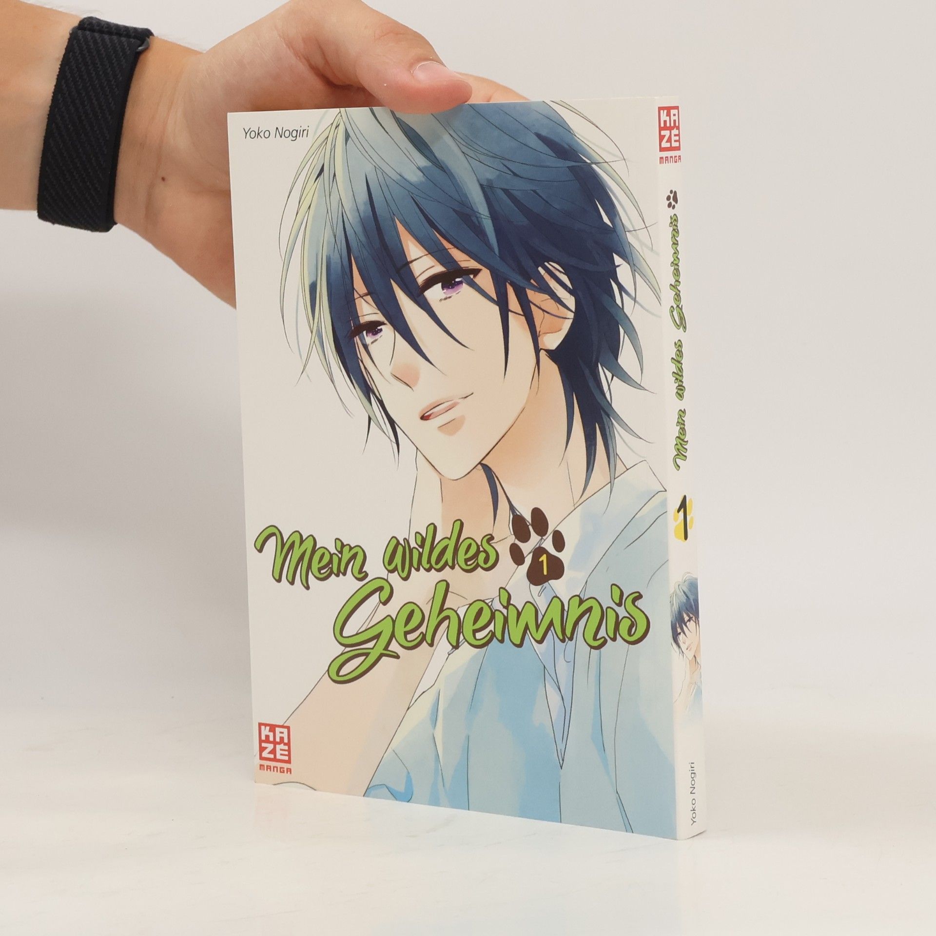 Yoko Nogiri Mein wildes Geheimnis 1