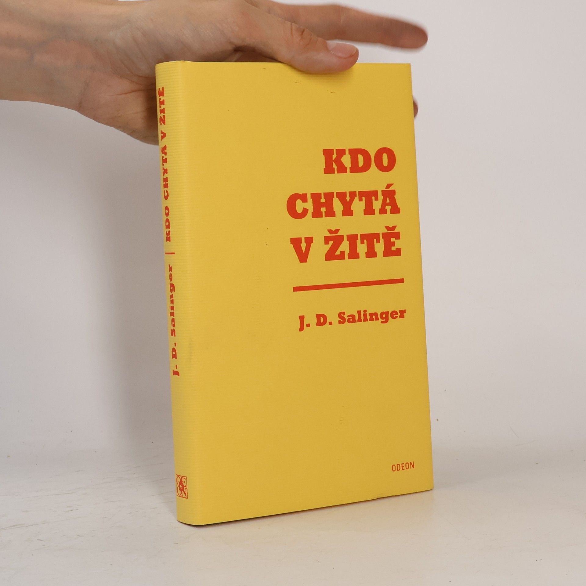 J. D. Salinger Kdo chytá v žitě