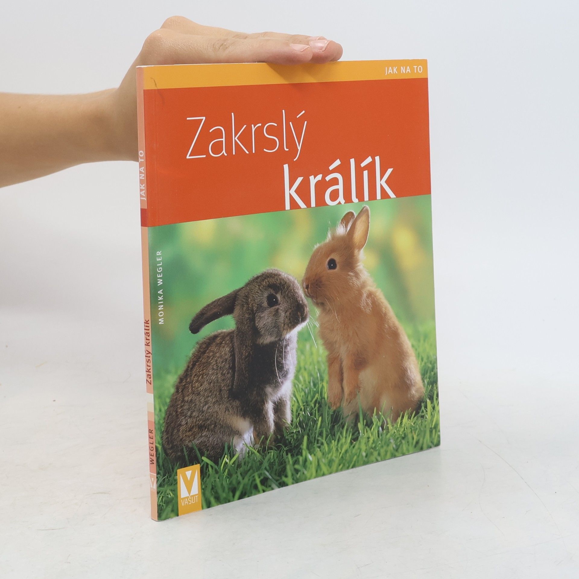 Monika Wegler Zakrslý králík
