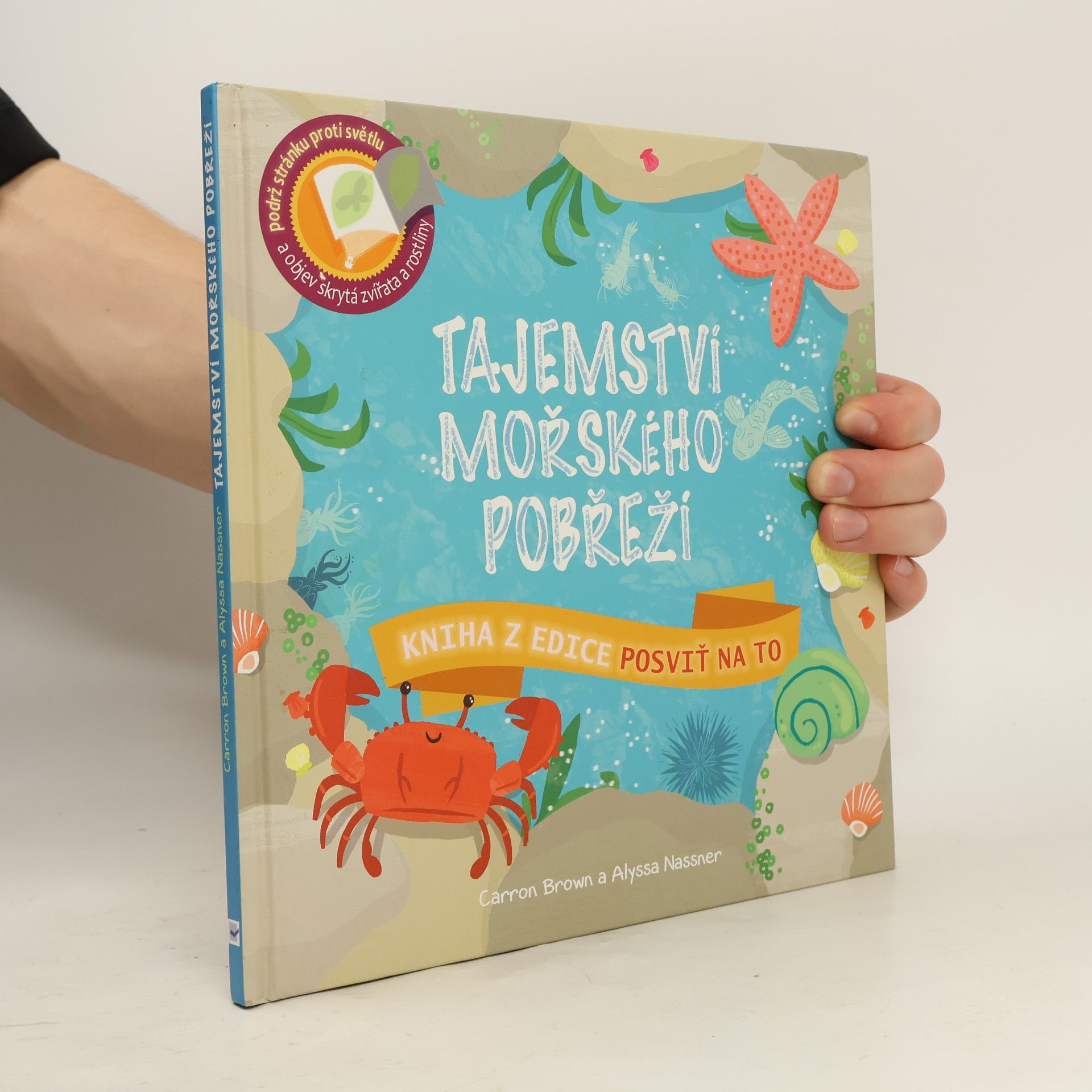 Carron Brown Tajemství mořského pobřeží