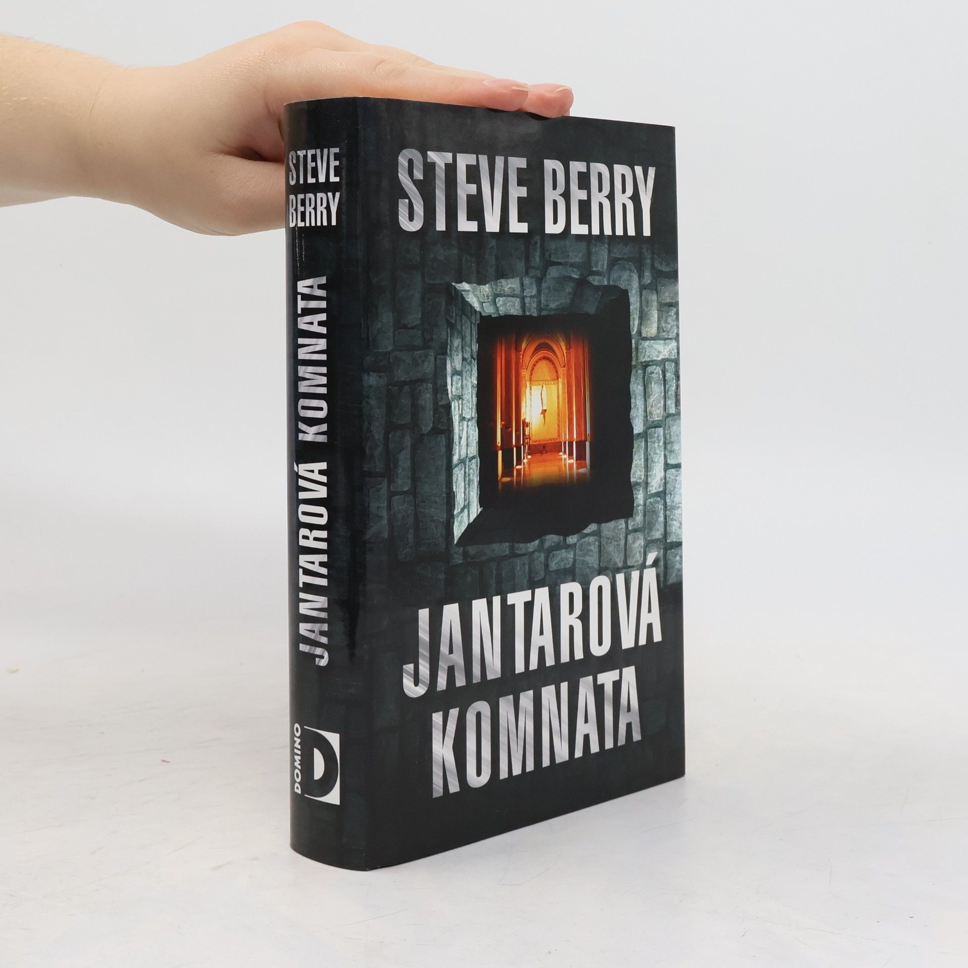 Steve Berry Jantarová komnata