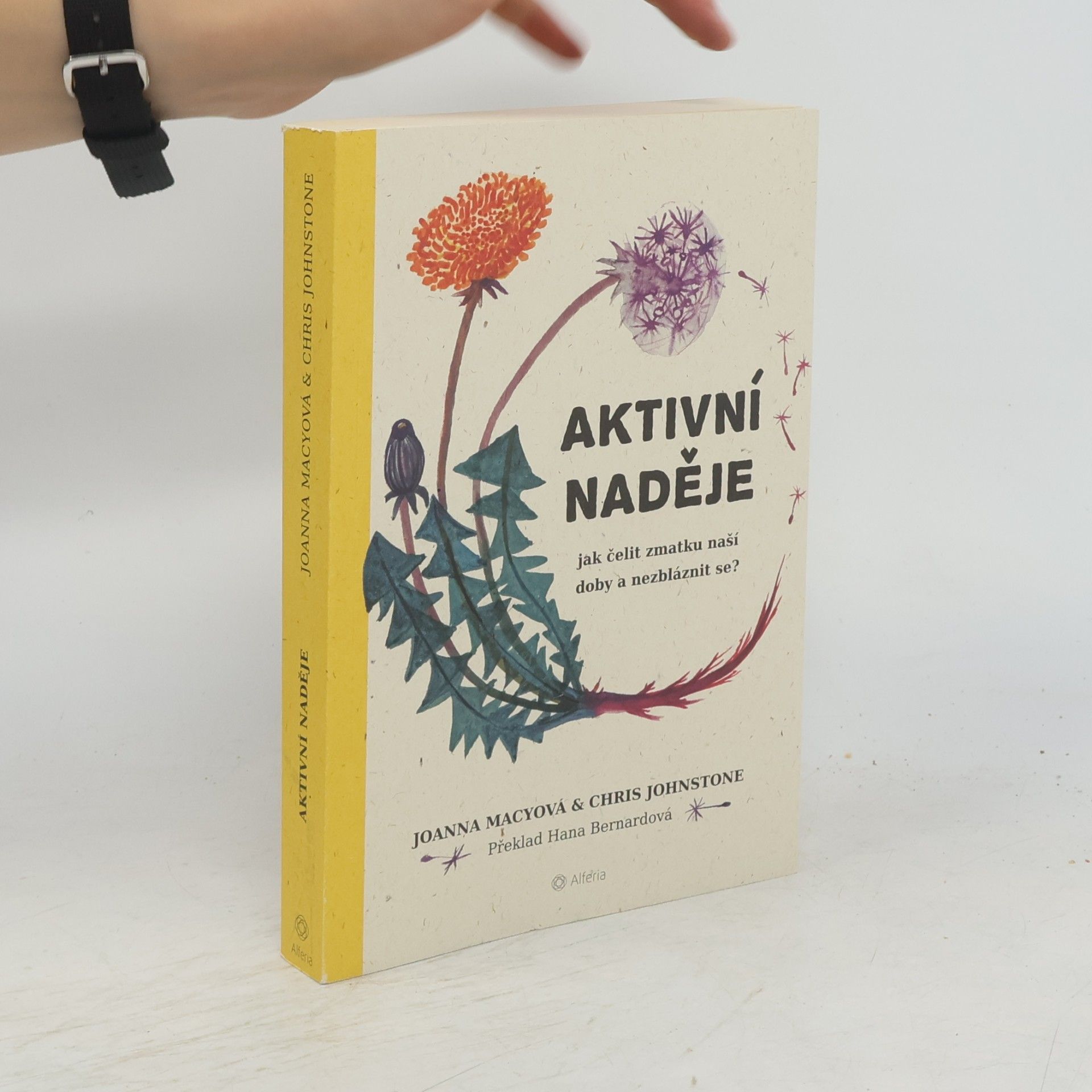 Joanna Macy Aktivní naděje