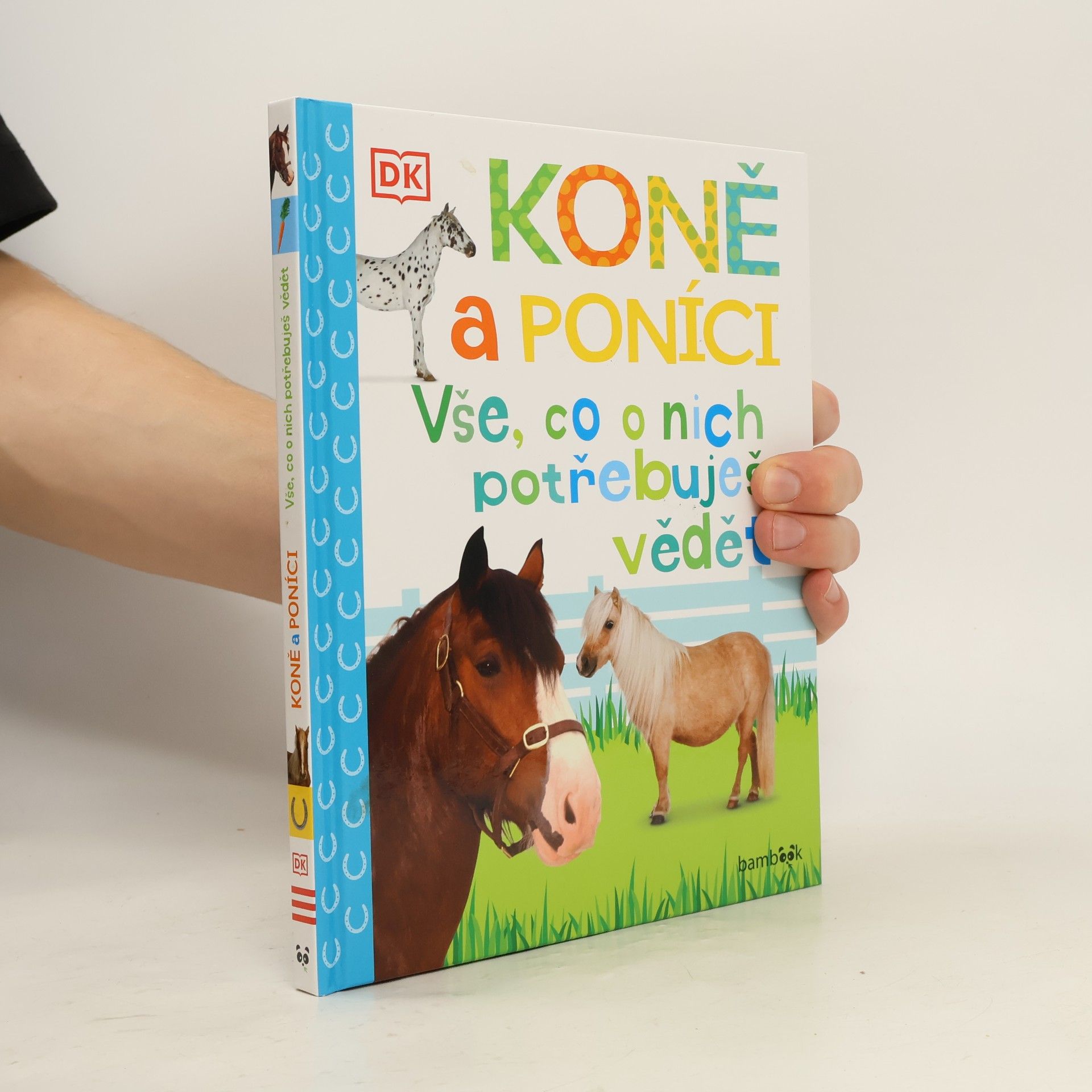 Koně a poníci – Vše, co o nich potřebuješ vědět