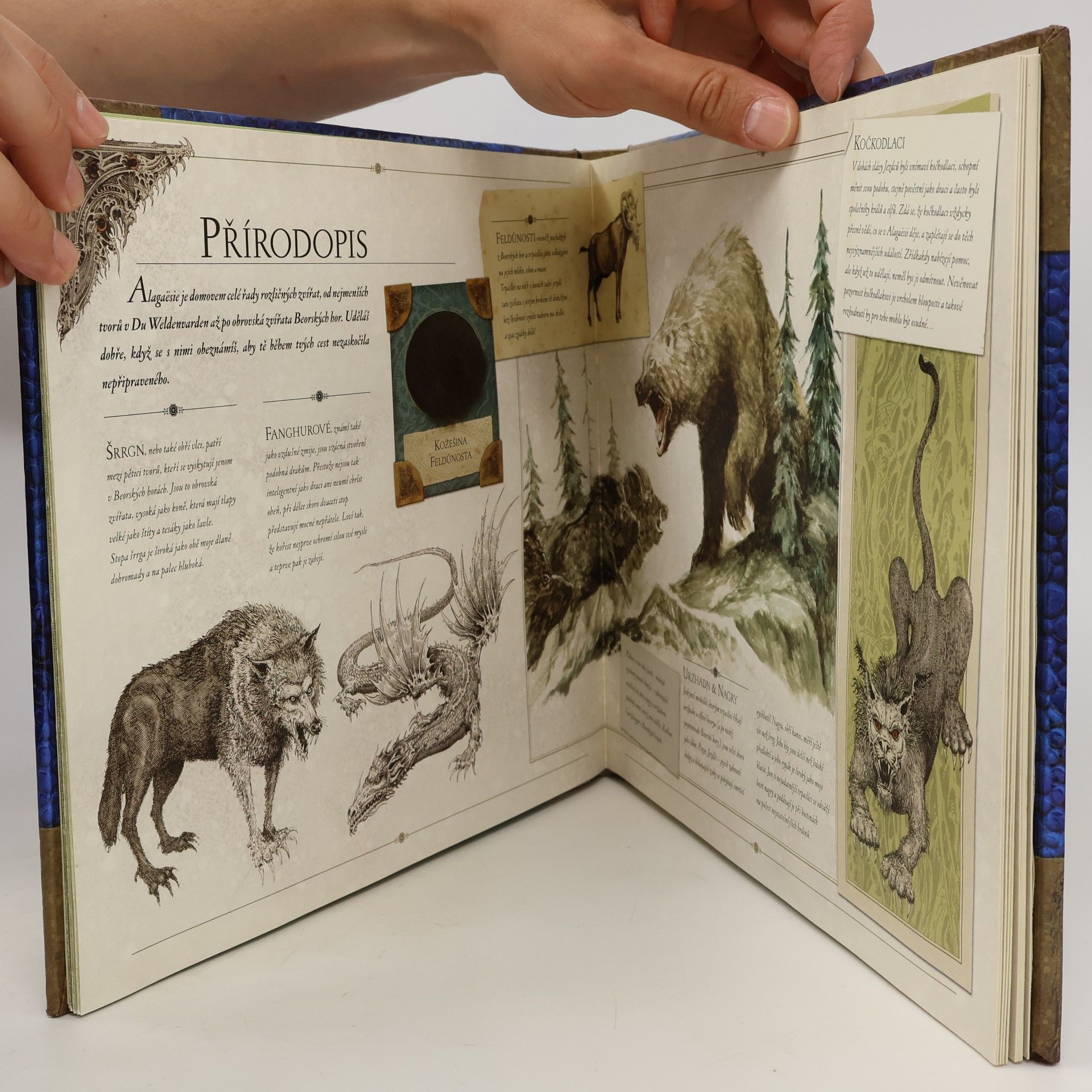 Christopher Paolini Eragon. Průvodce po Alagaësii