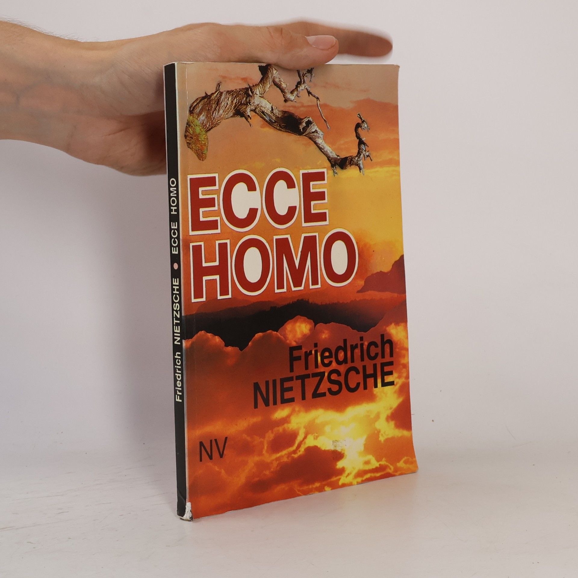 Friedrich Nietzsche Ecce homo