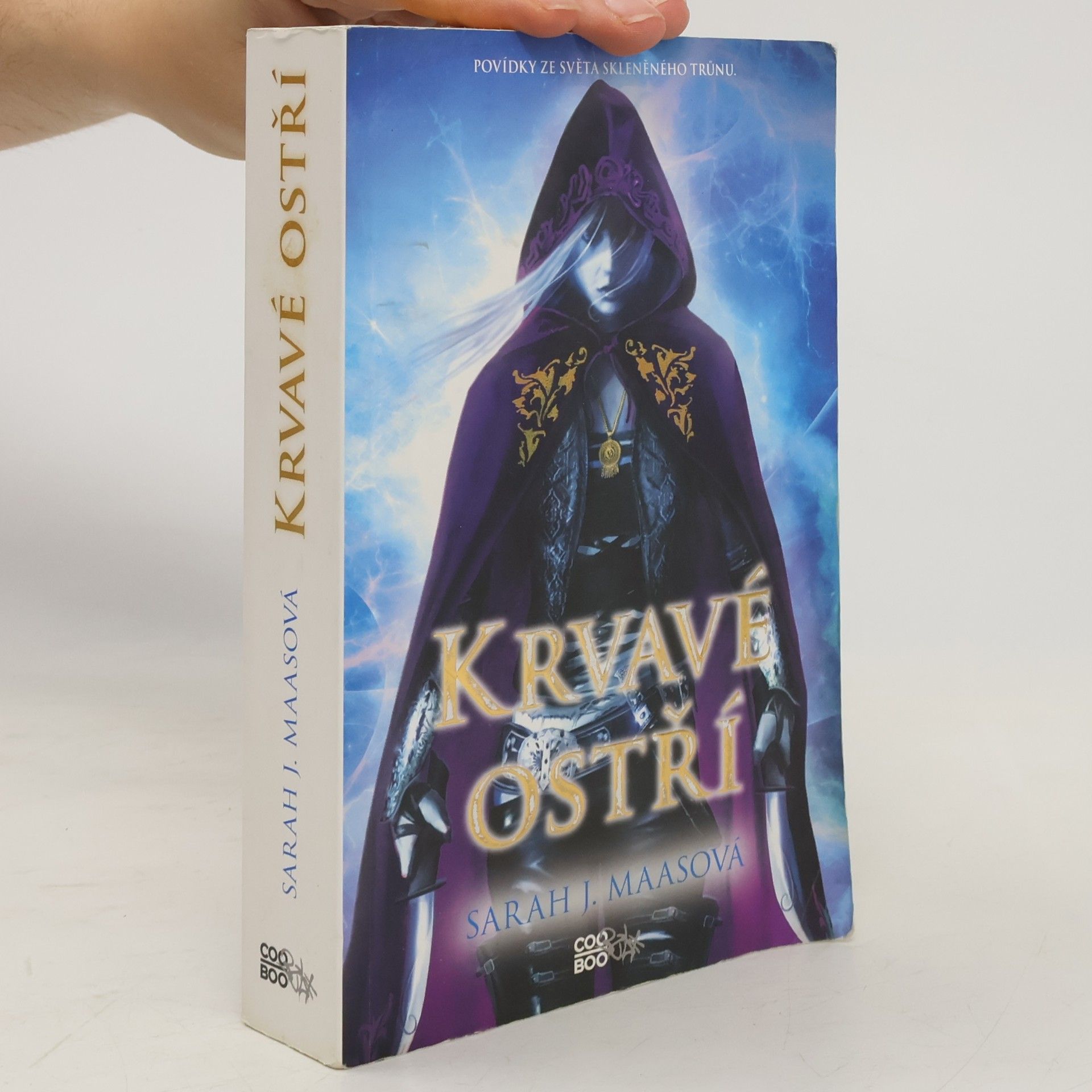Sarah J. Maas Krvavé ostří