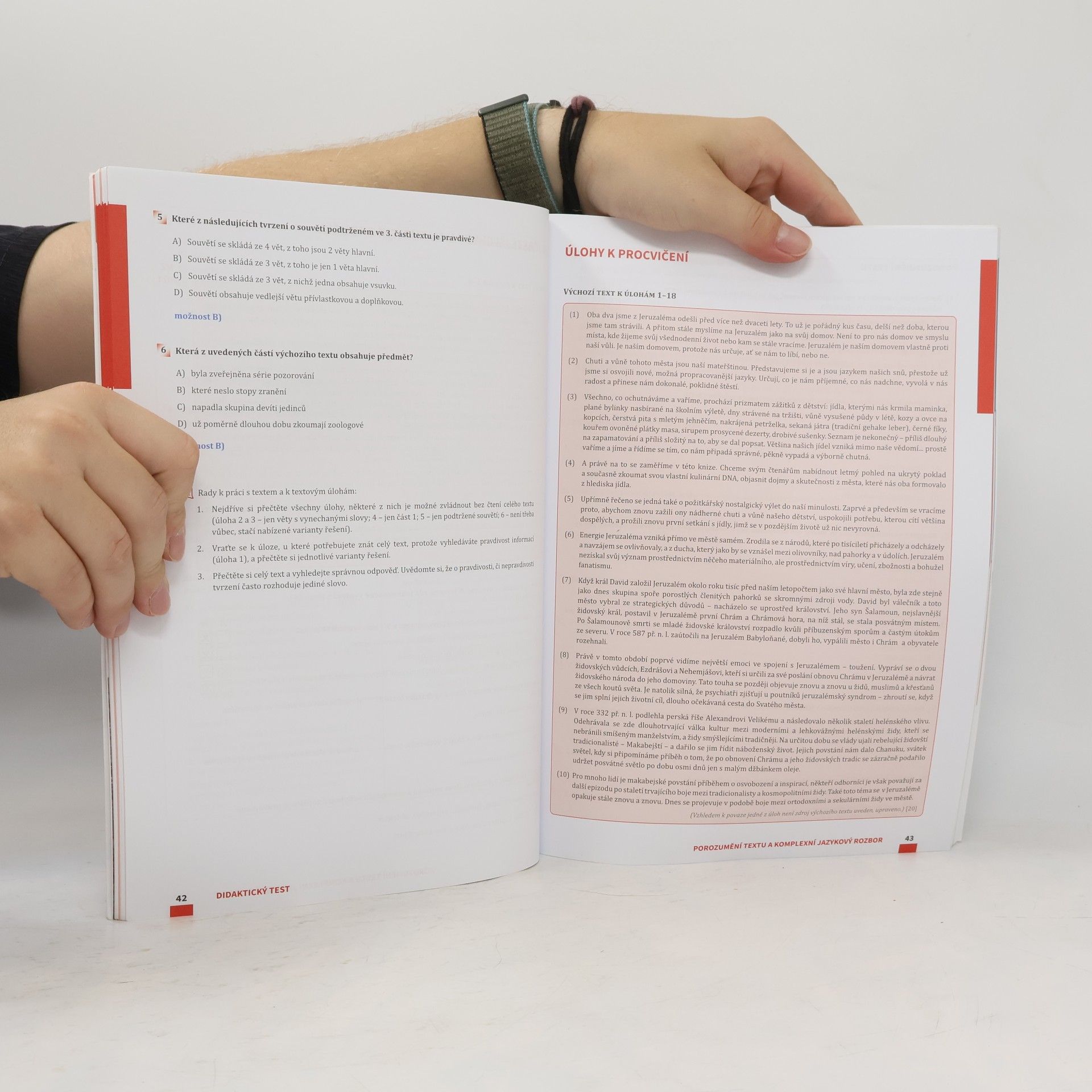 Dobruše Fajkusová Maturita v pohodě. Český jazyk a literatura