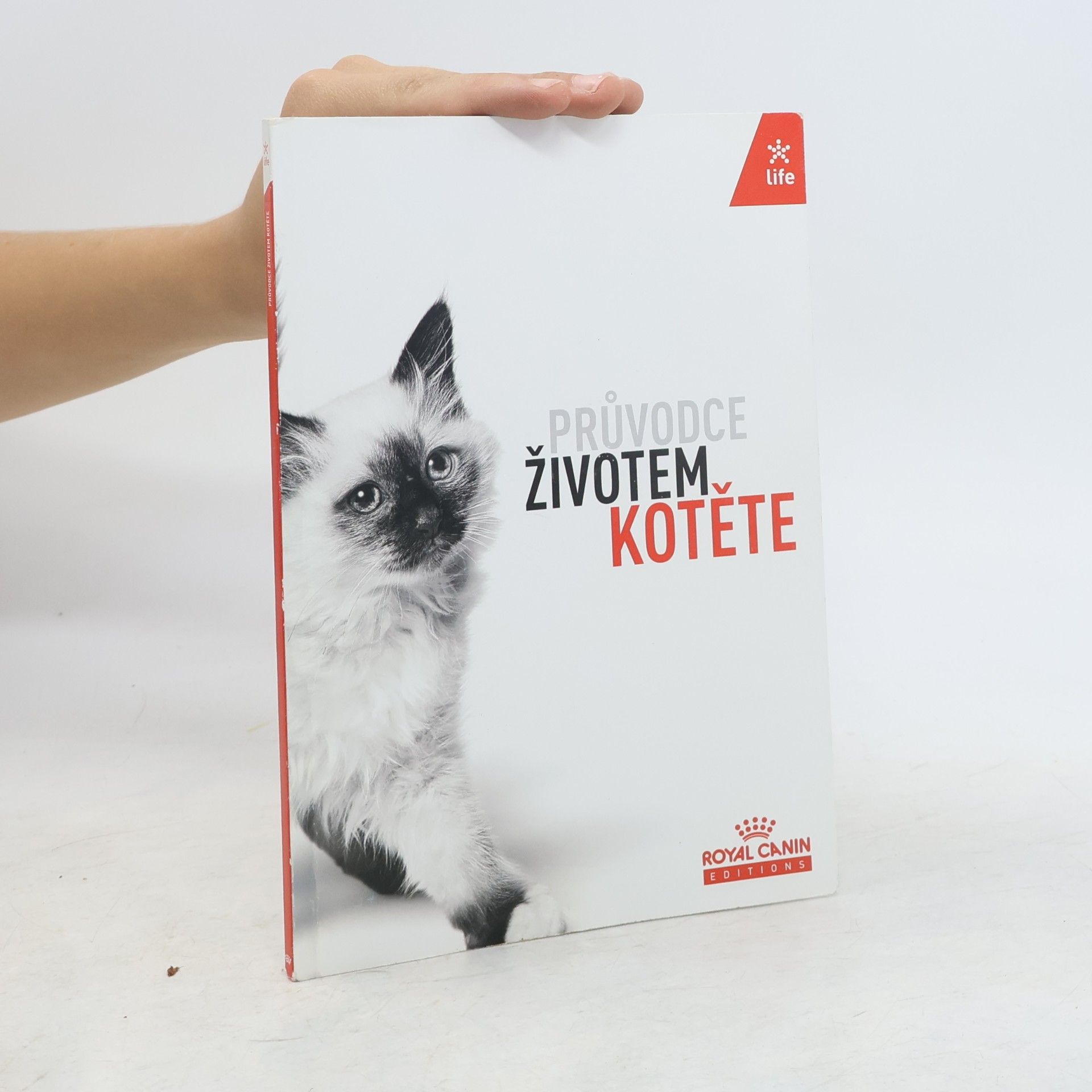 Autorenkollektiv Průvodce životem kotěte