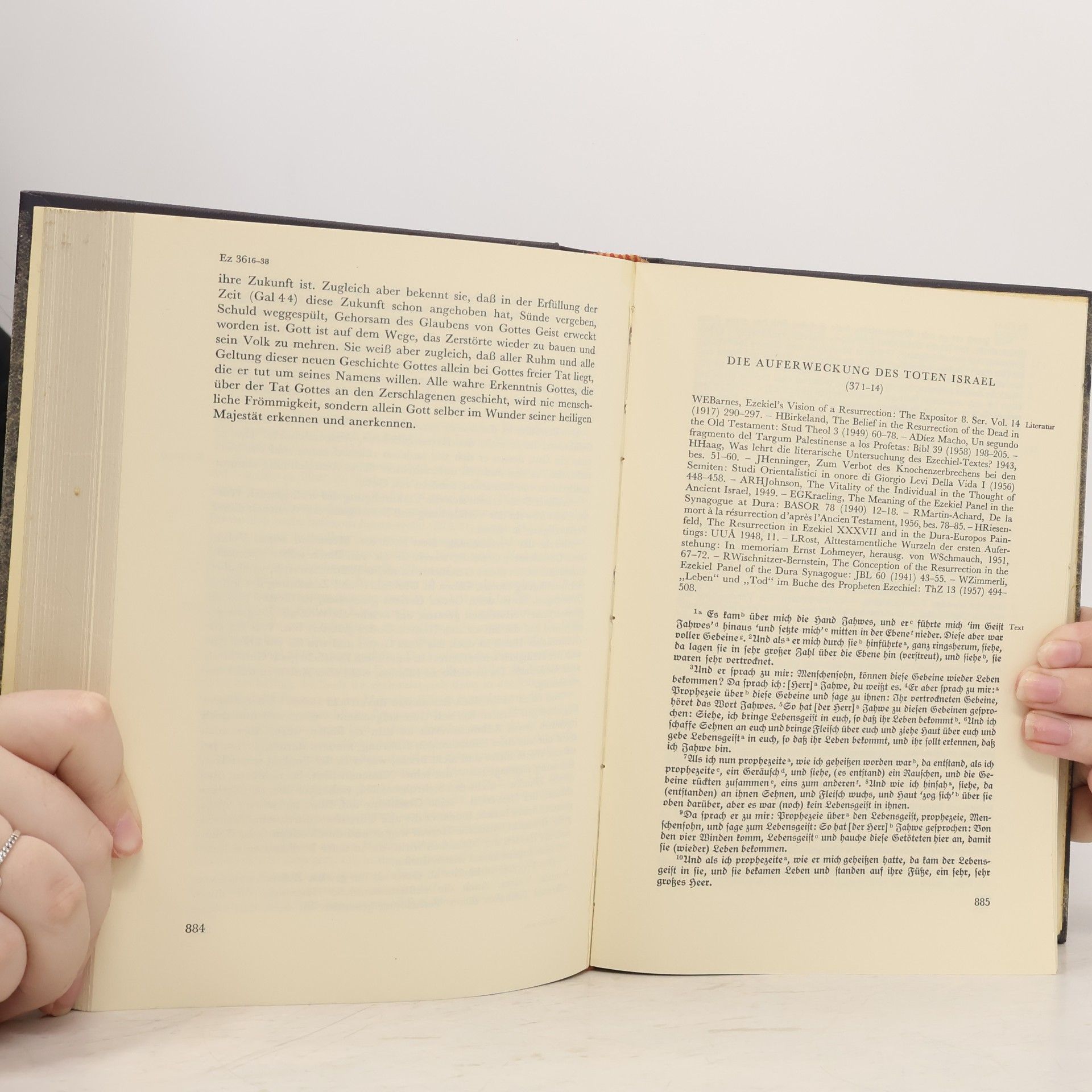 Walther Zimmerli Biblischer Kommentar altes Testament XIII/2