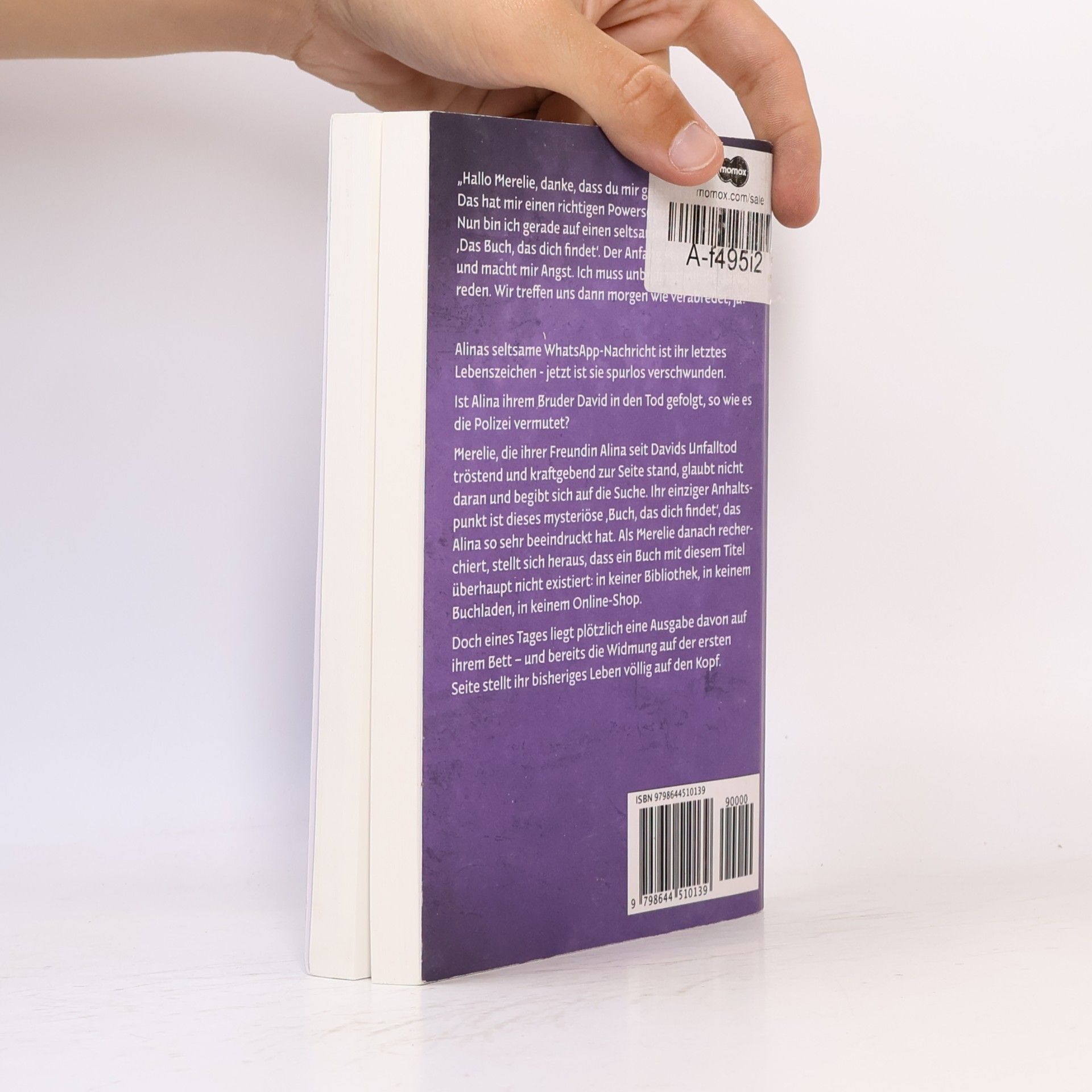 Siegfried Langer Das Buch, das dich findet