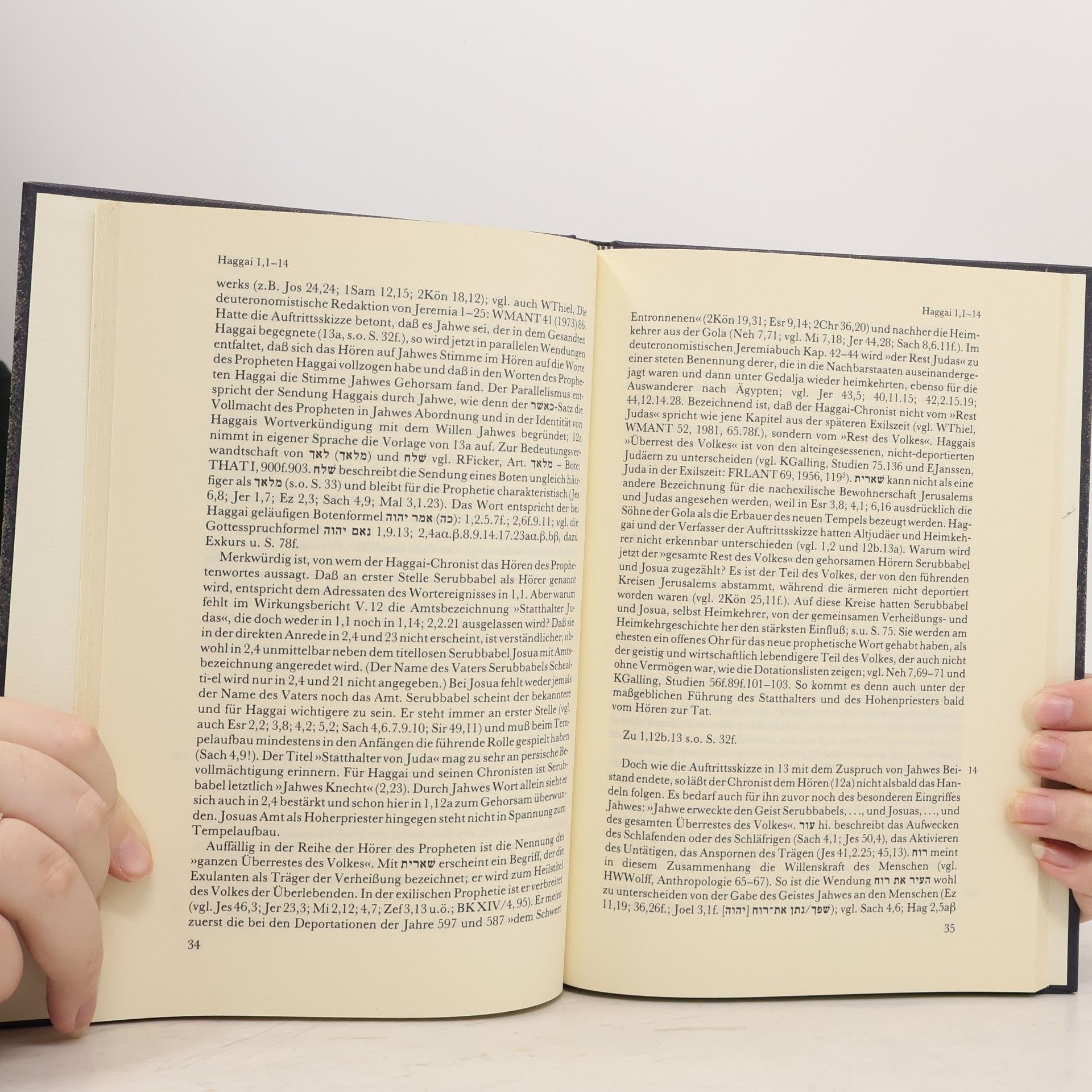 Hans W. Wolff Biblischer Kommentar Altes Testament - XIV/6: Dodekapropheton 6, Haggai