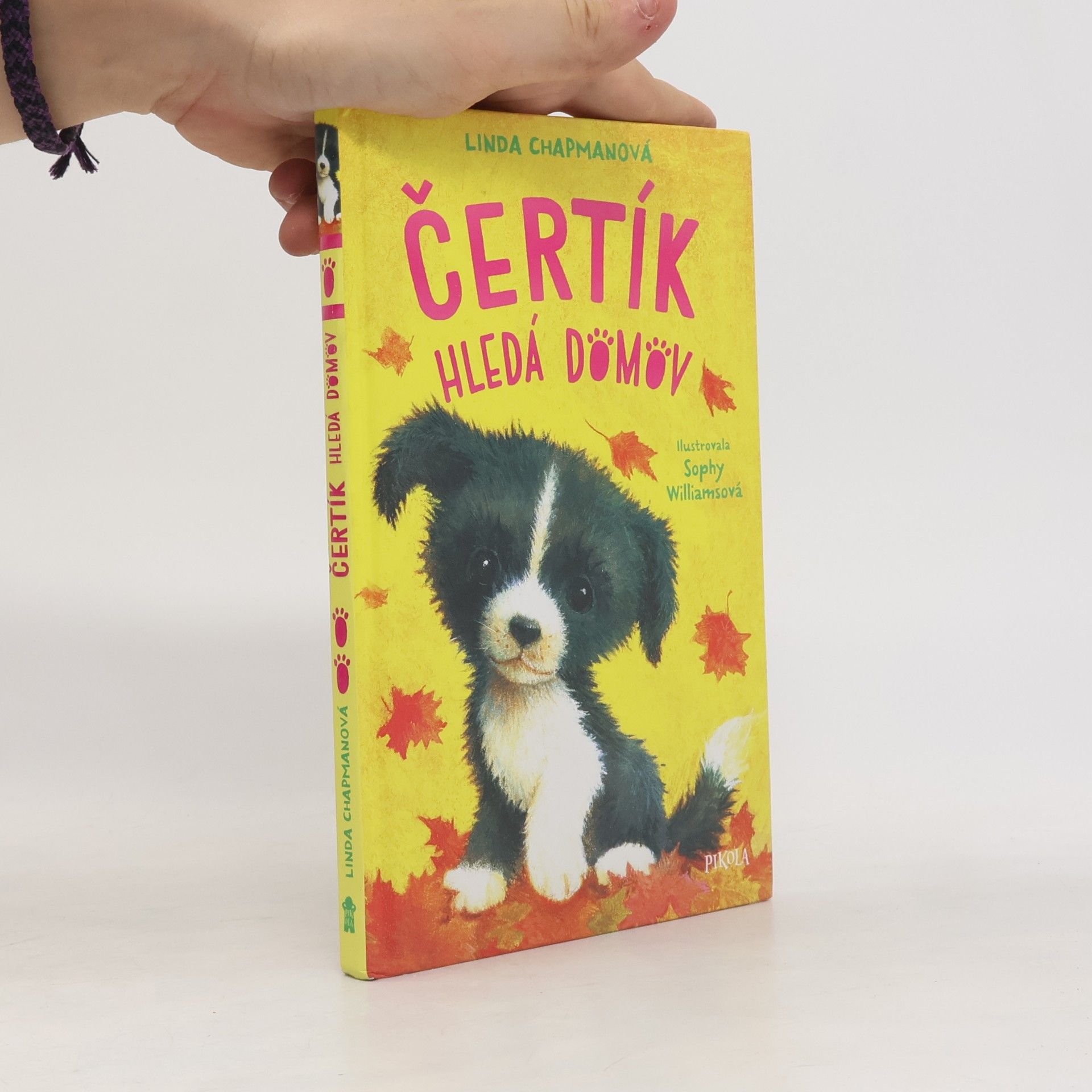 Linda Chapman Čertík hledá domov