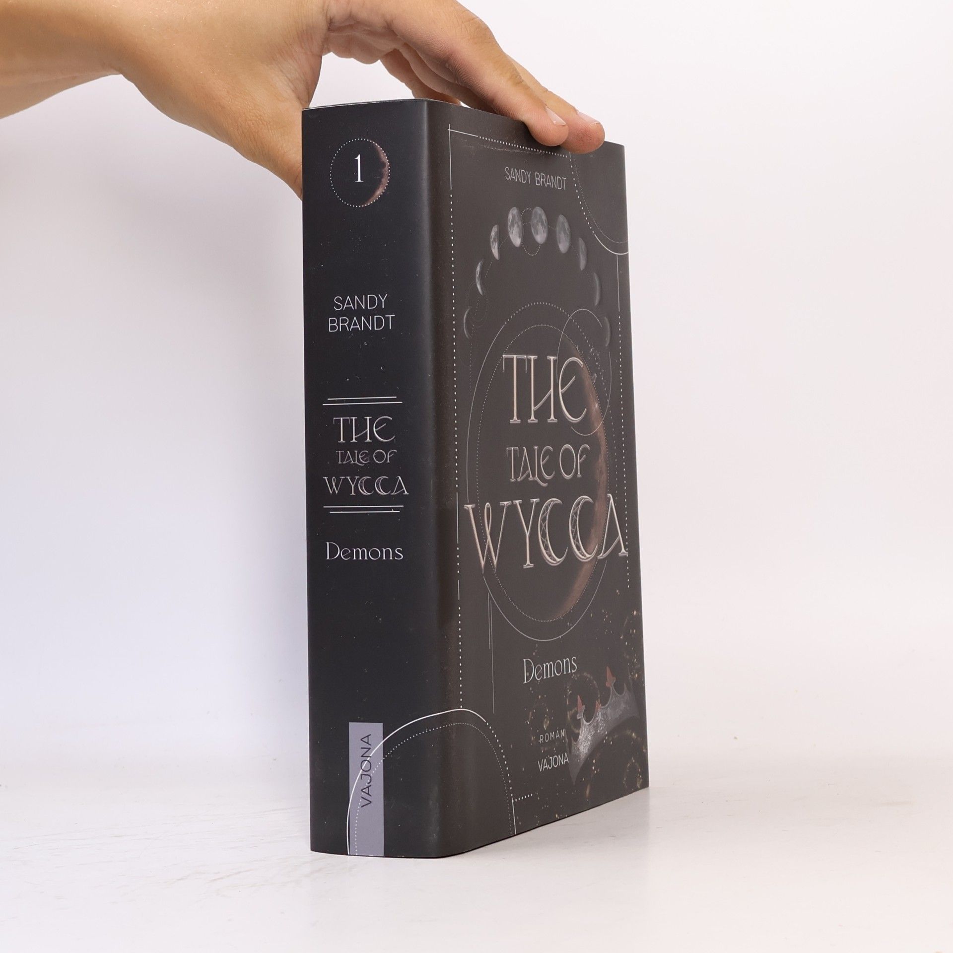 Sandy Brandt THE TALE OF WYCCA: Demons (WYCCA-Reihe 1)