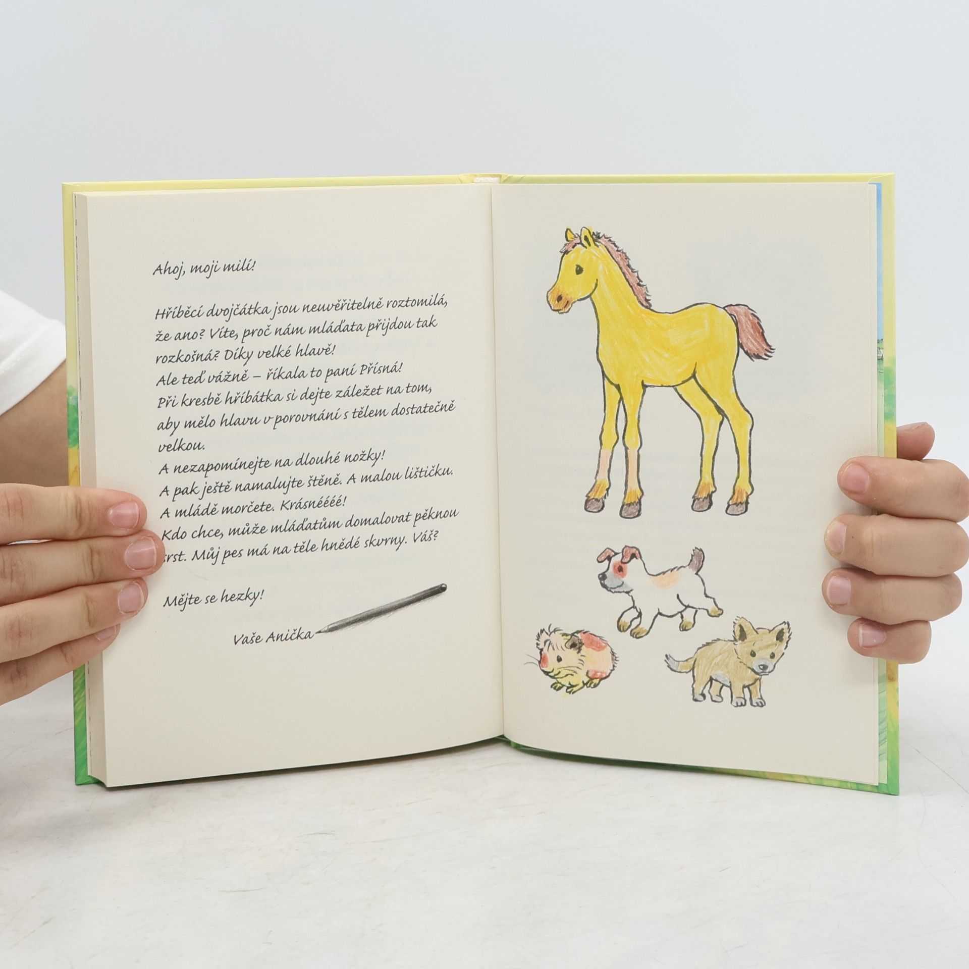 Usch Luhn Srdíčko - Anička zachraňuje hříbátko