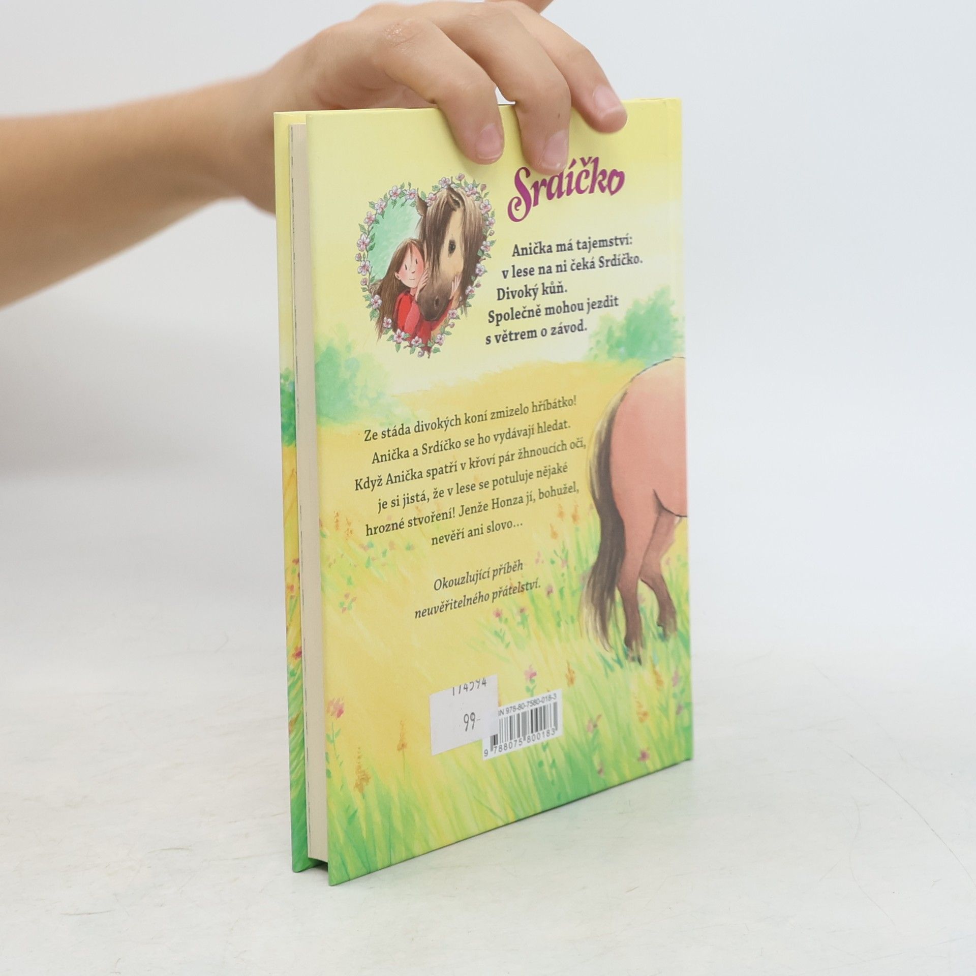 Usch Luhn Srdíčko - Anička zachraňuje hříbátko