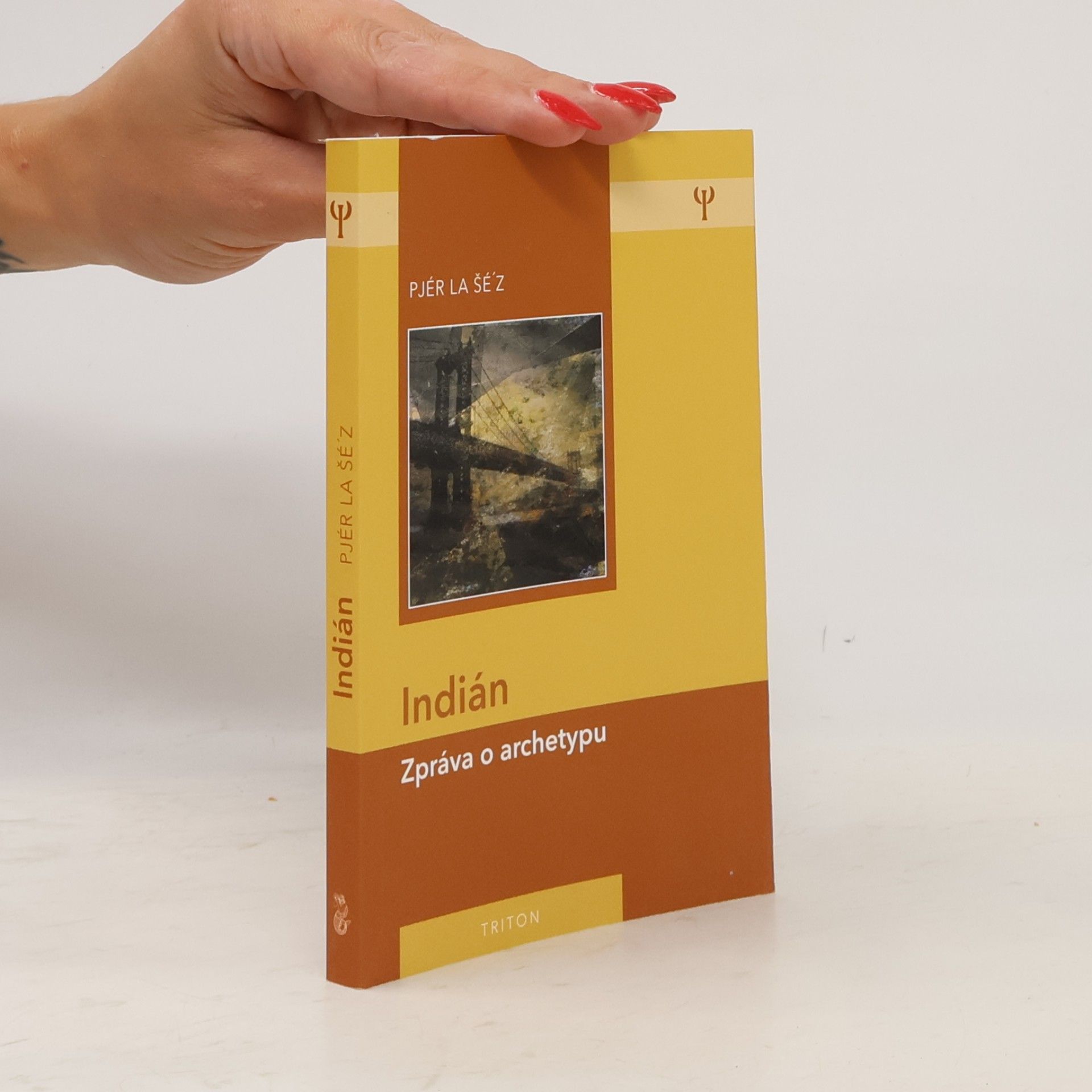Pjér la Šéz Indián: Zpráva o archetypu