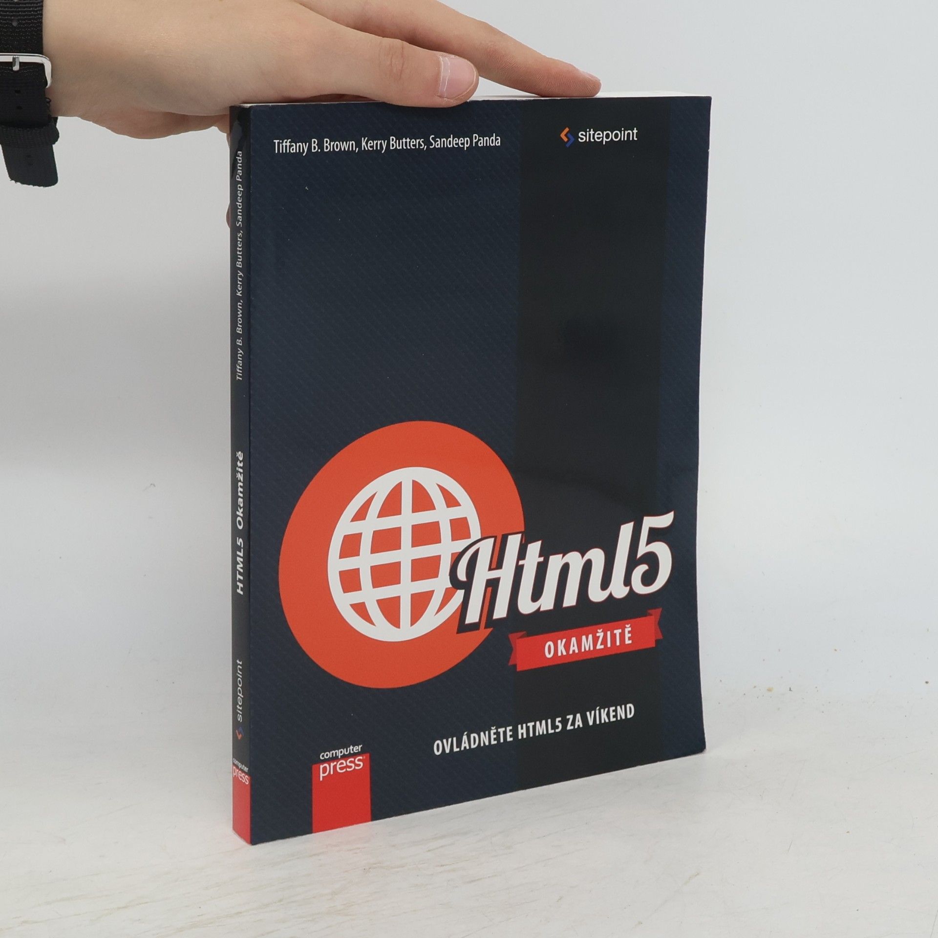 Sandeep Panda HTML5 okamžitě : ovládněte HTML5 za víkend