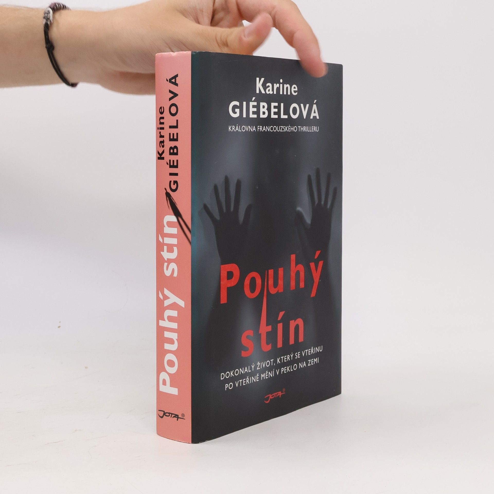 Karine Giebel Pouhý stín