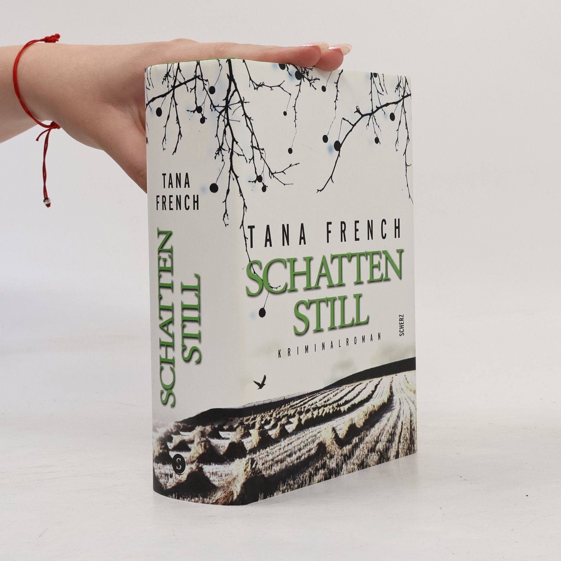 Tana French Schattenstill