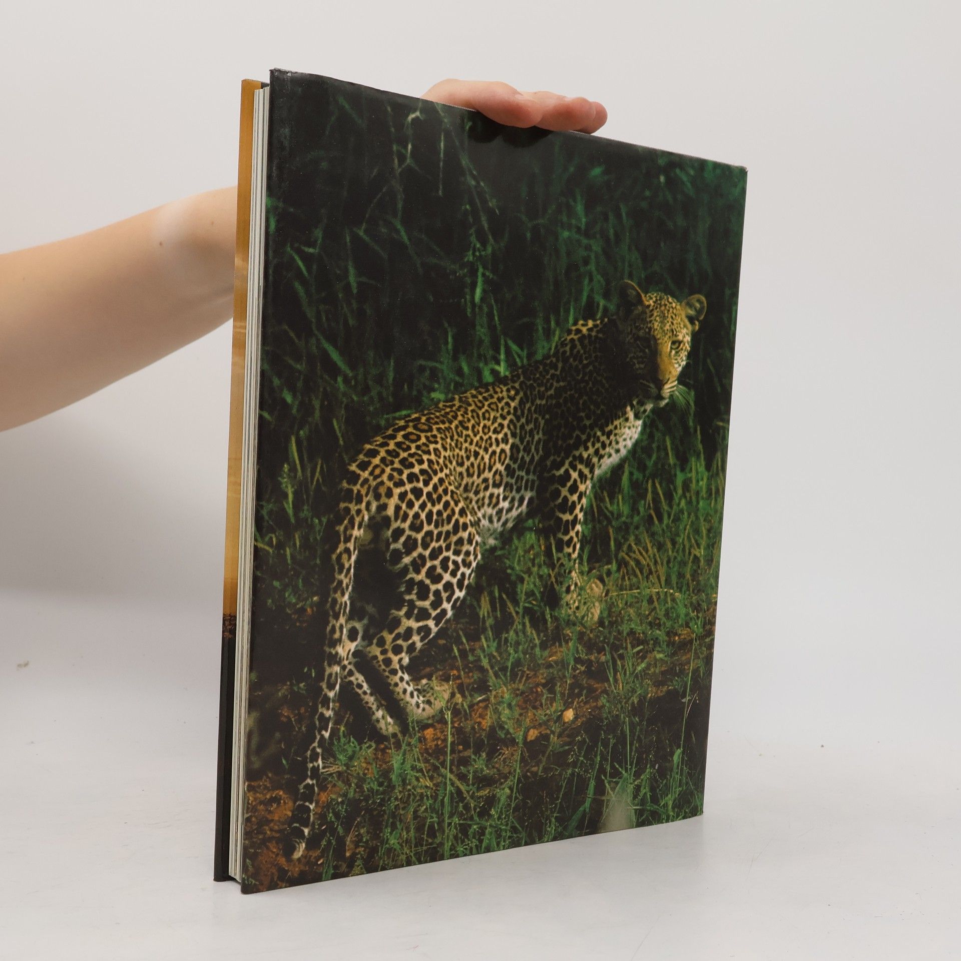Herbert Tichy Traumland Kenia