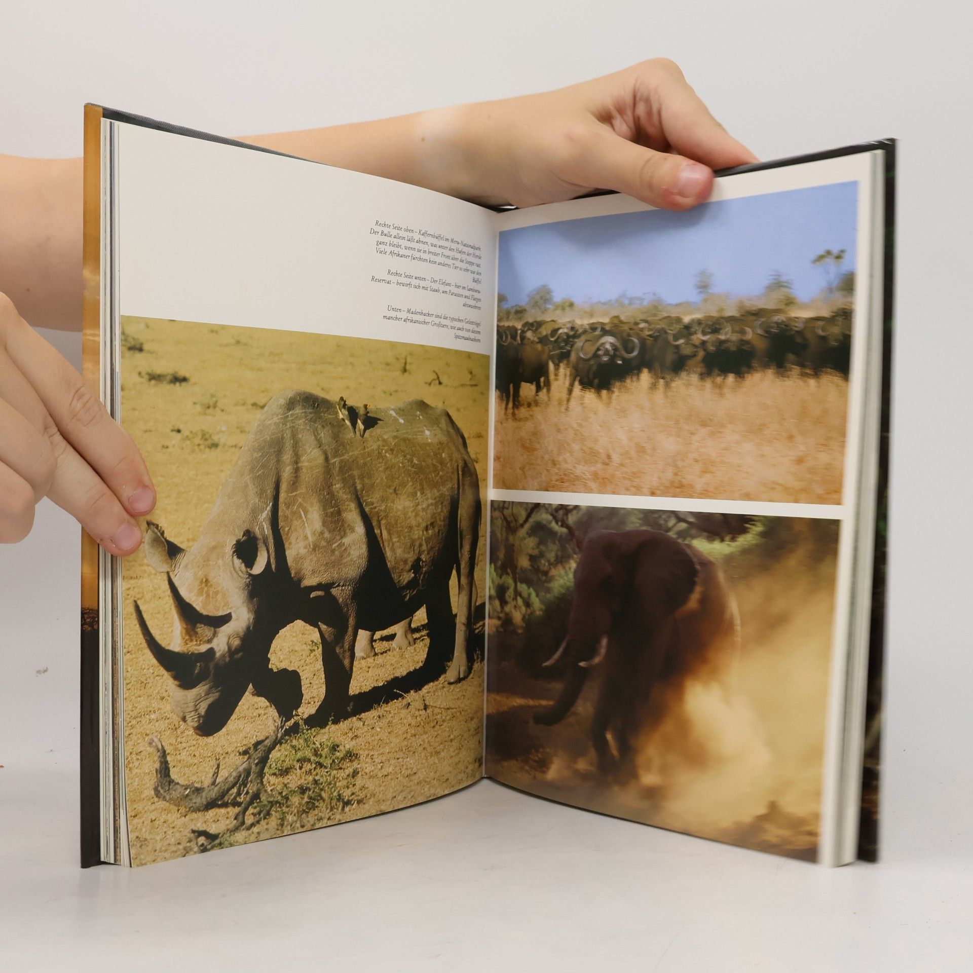 Herbert Tichy Traumland Kenia