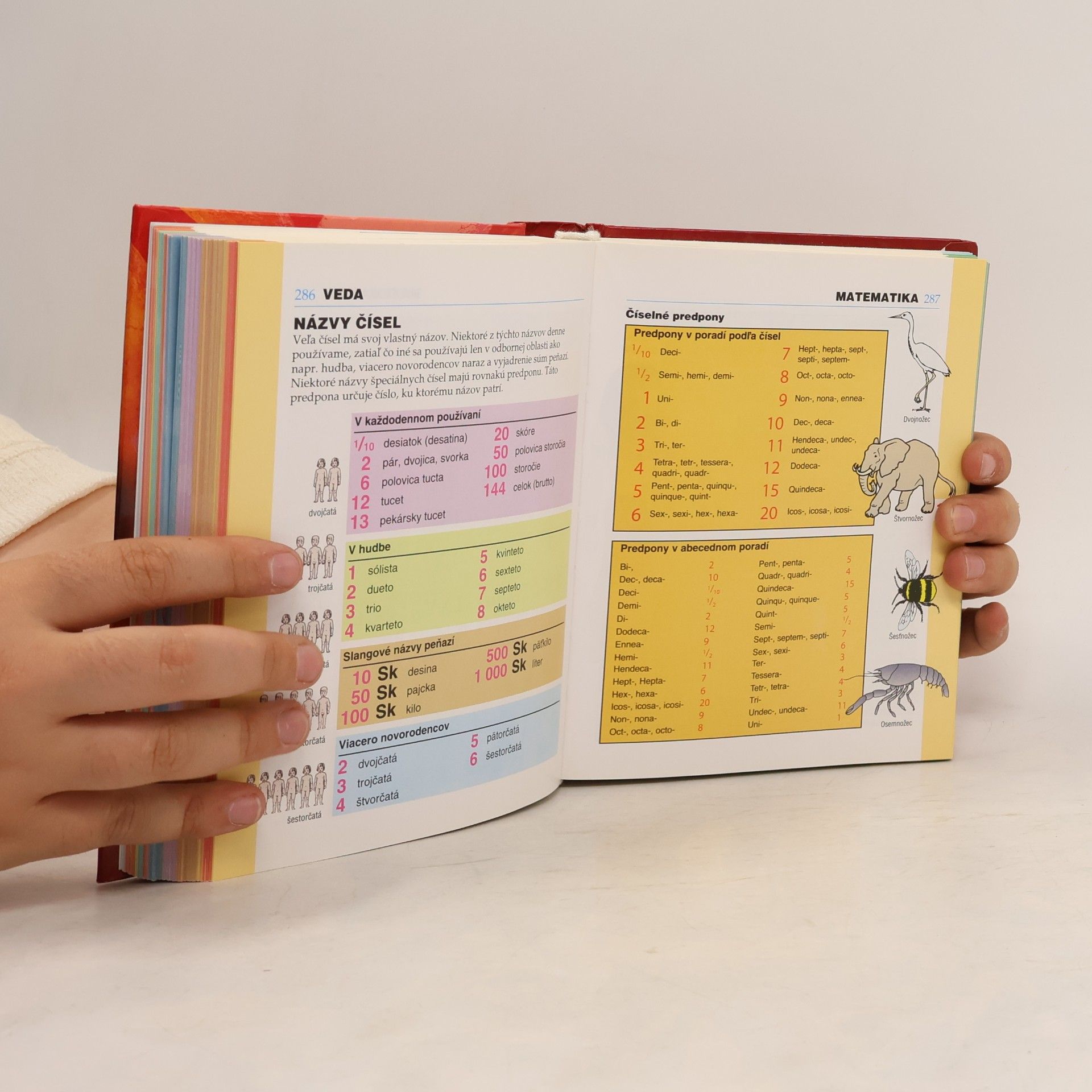 Autorenkollektiv Rozum do ruky: rodinná encyklopédia vedomostí