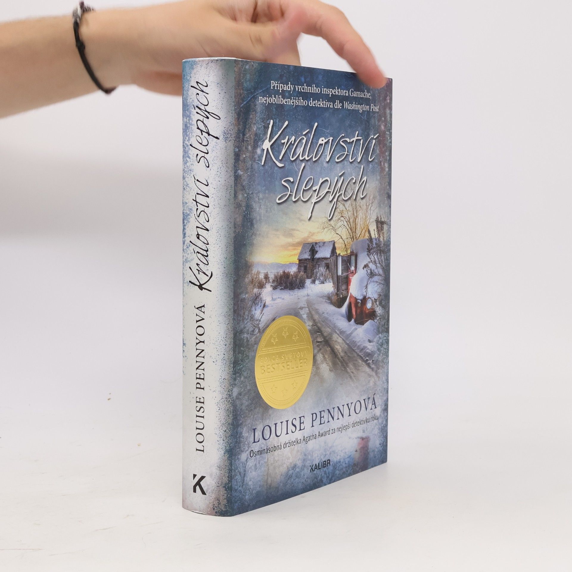 Louise Penny Království slepých