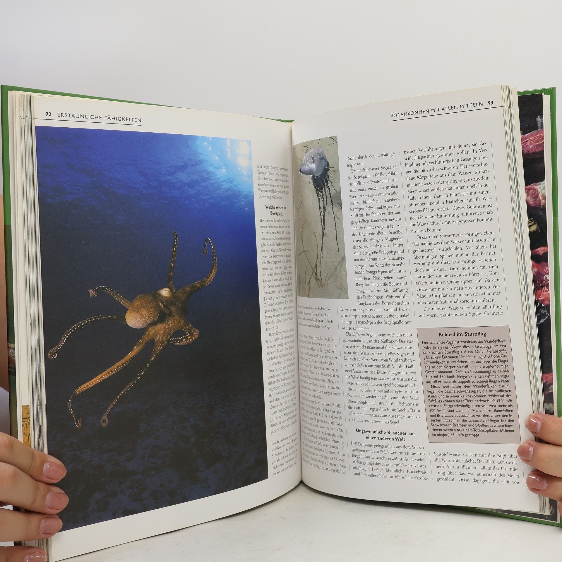 Autorenkollektiv Unbekannte Tierwelt