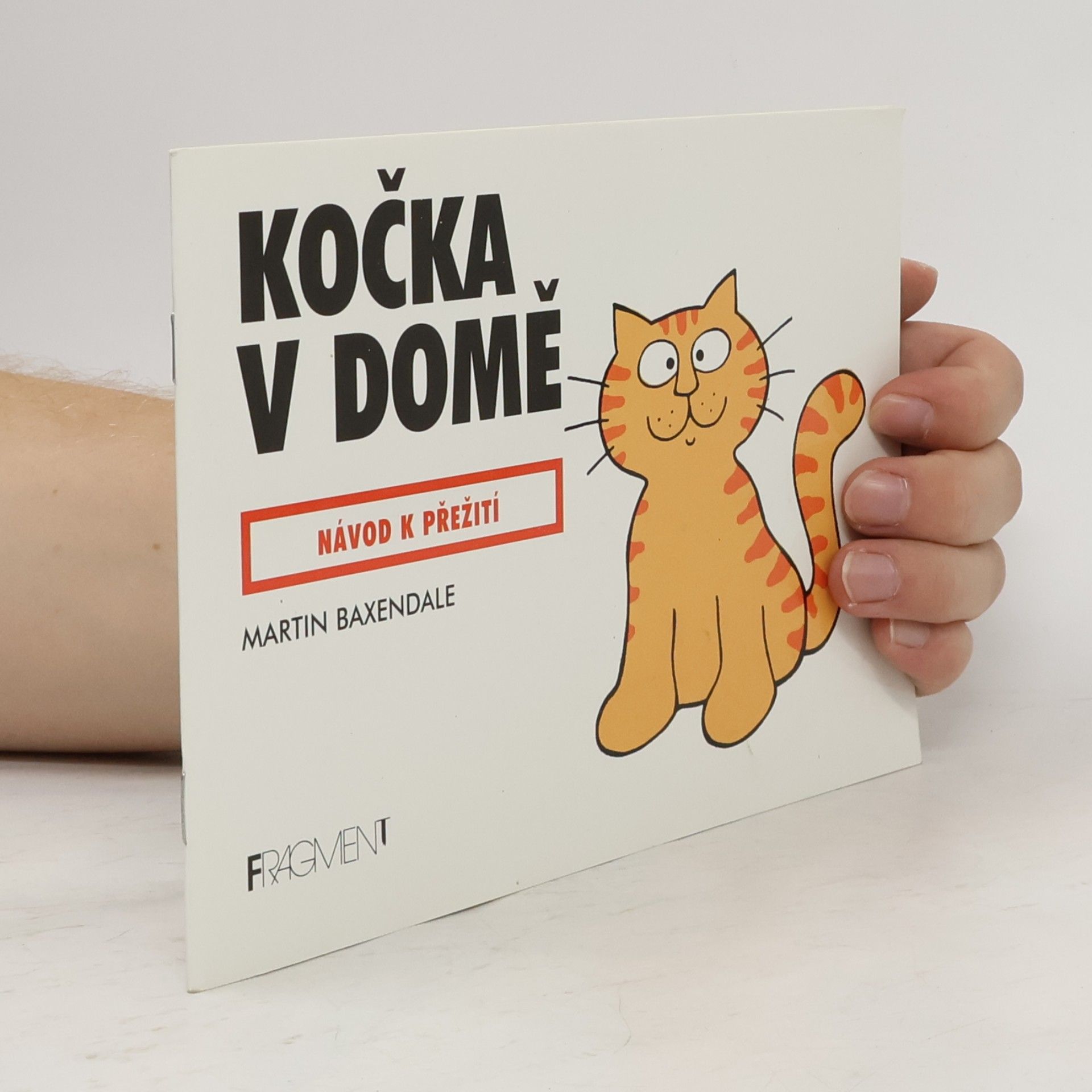 Kočka v domě - návod na přežití