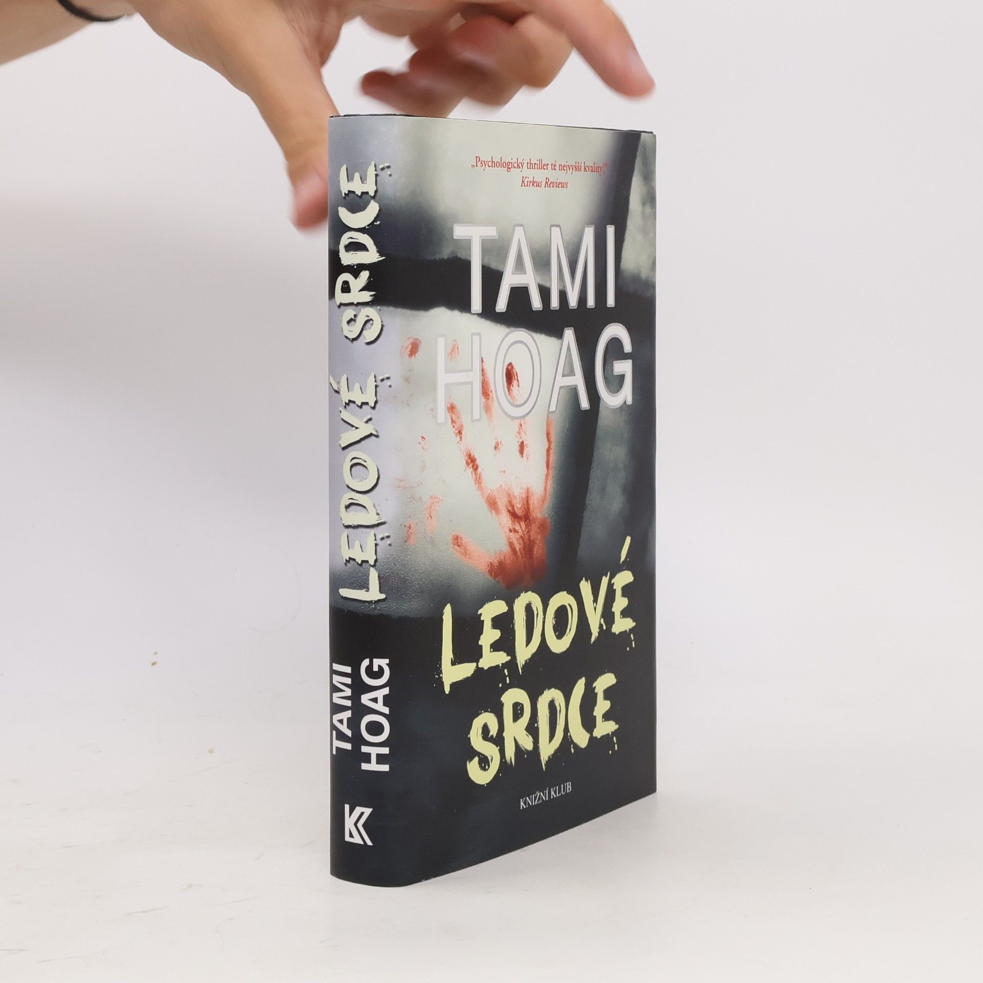 Tami Hoag Ledové srdce