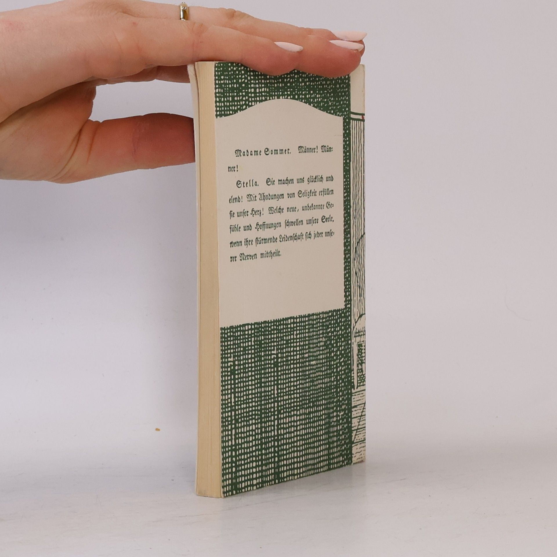 Various authors Mit Goethe durch das Jahr