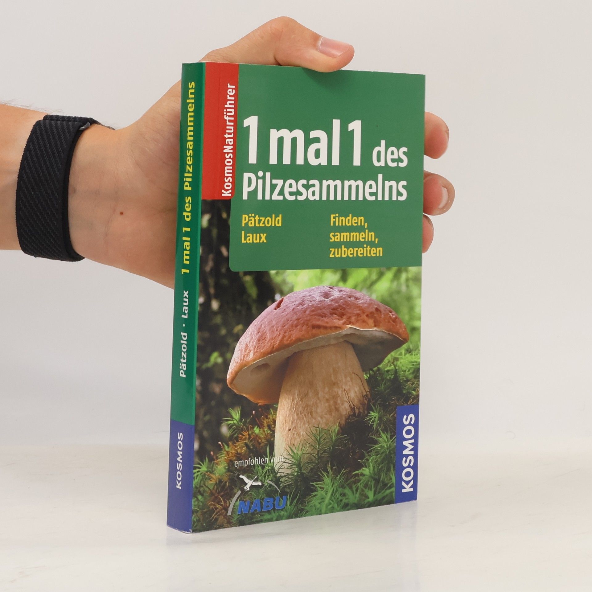 Kosmos Naturführer: 1mal1 des Pilzesammelns