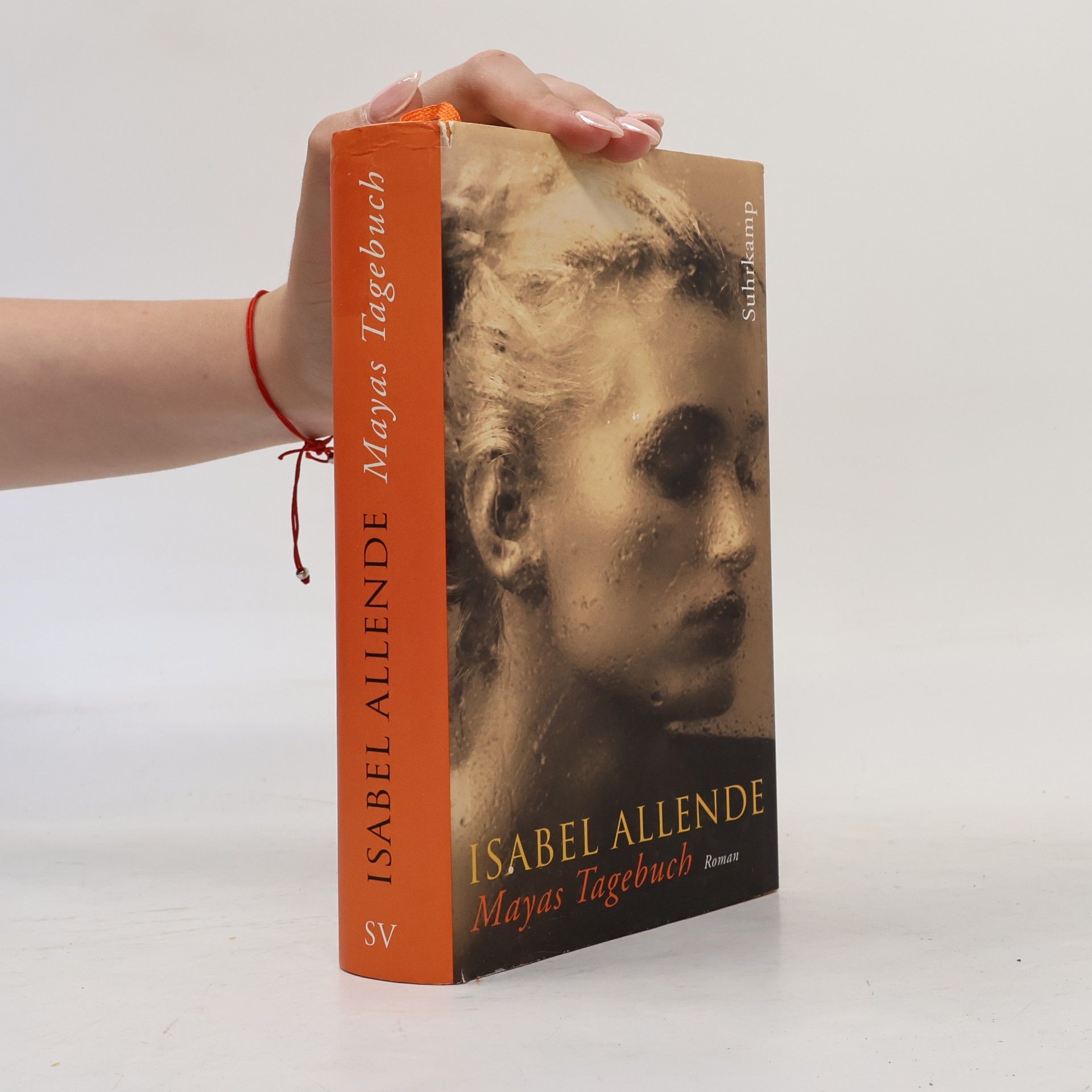 Isabel Allende Mayas Tagebuch. Roman
