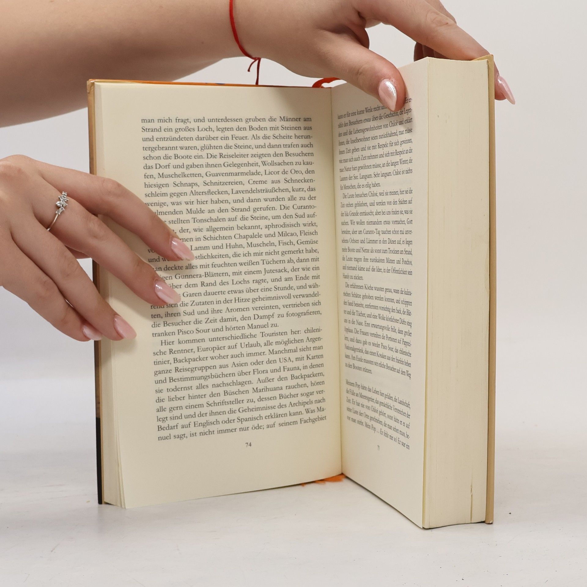 Isabel Allende Mayas Tagebuch. Roman