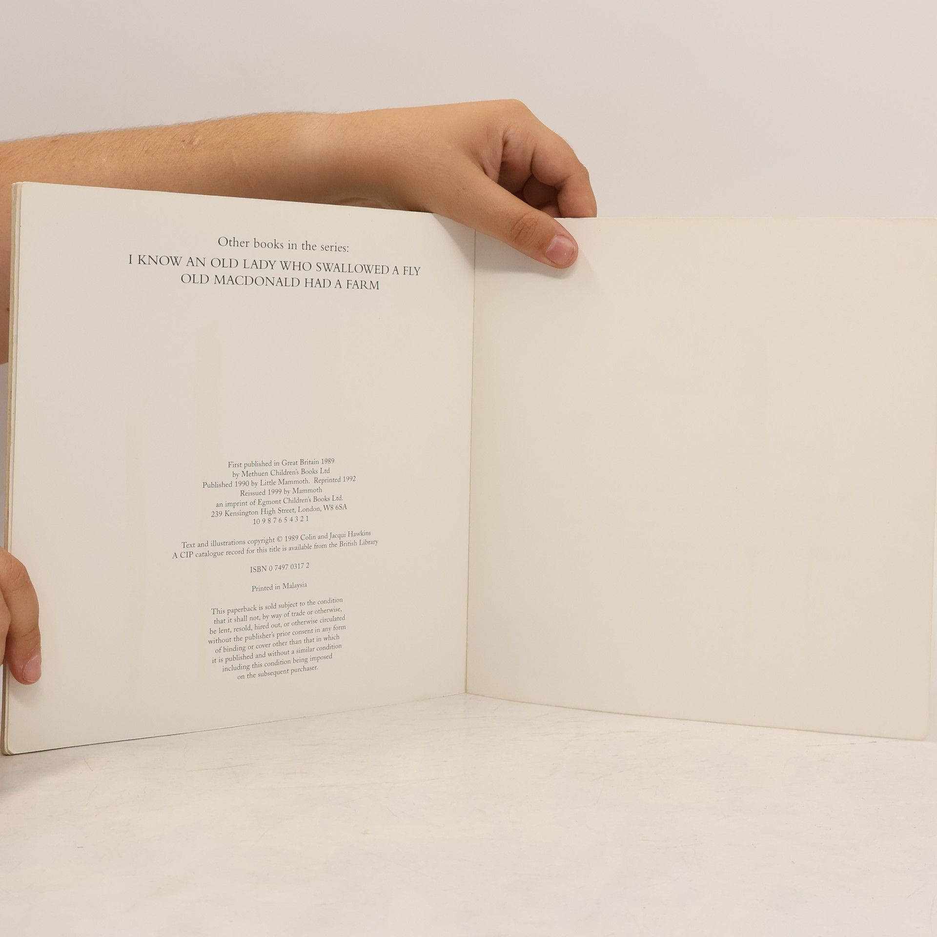 Colin Hawkins Picture Mammoth: Noah Built an Ark One Day: A Lift-The-Flap Book