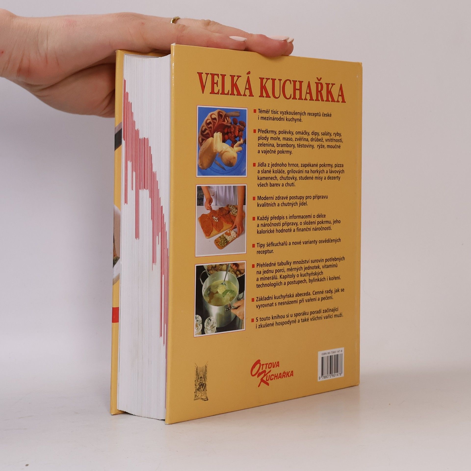Kolektiv autorů Velká kuchařka