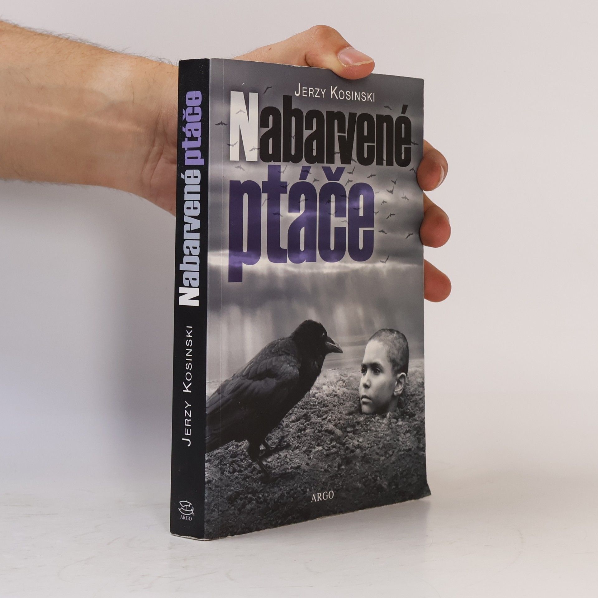 Jerzy Kosinski Nabarvené ptáče