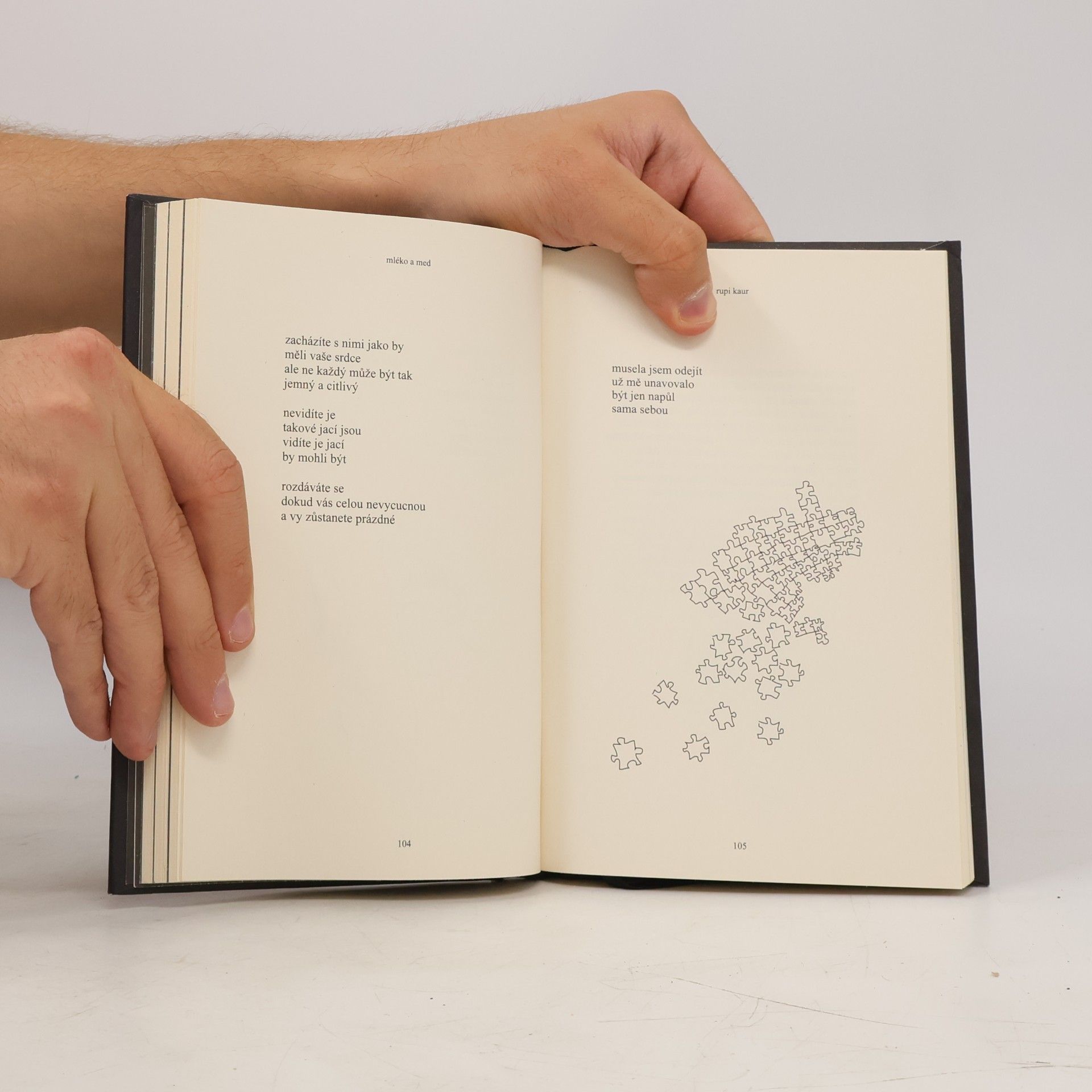 Rupi Kaur Mléko a med