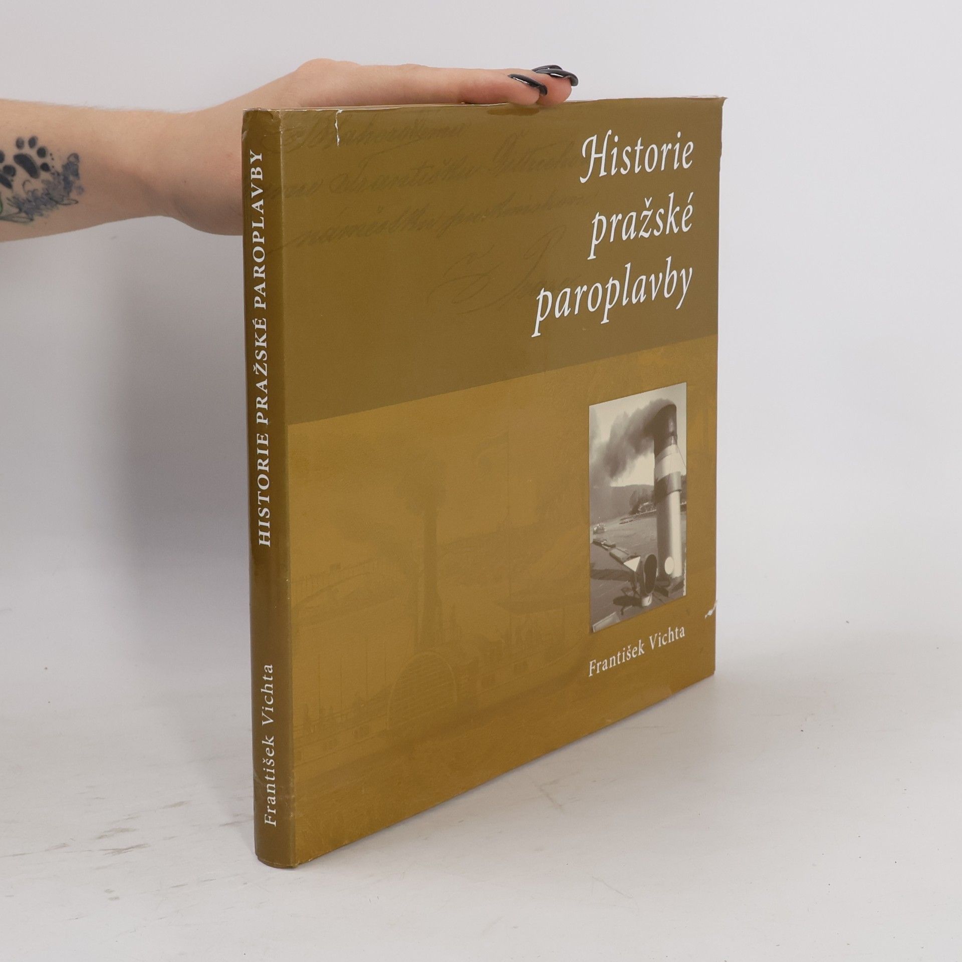 František Vichta Historie pražské paroplavby