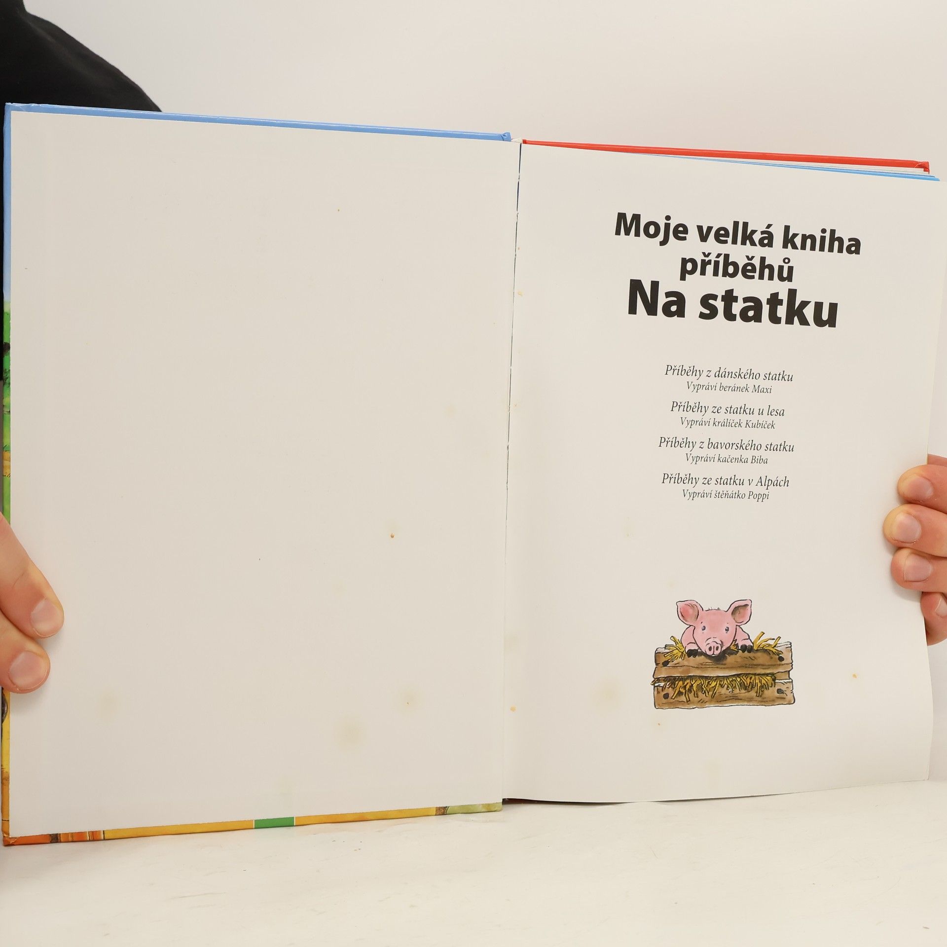 Anne Suess Moje velká kniha příběhů. Na statku