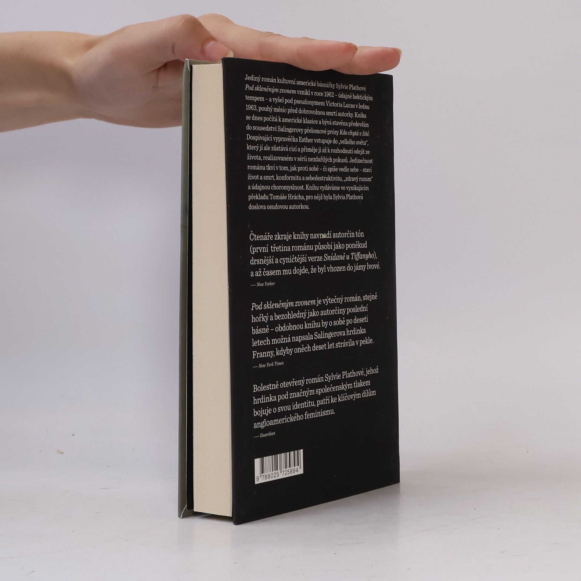 Sylvia Plath Pod skleněným zvonem