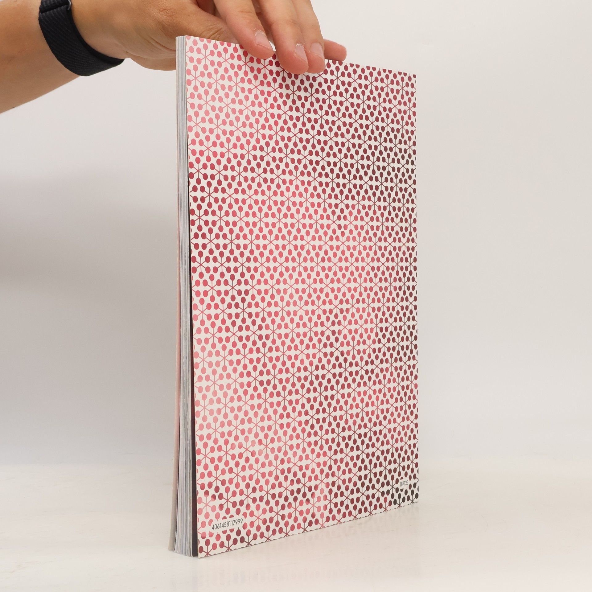 Autorenkollektiv Schöne Schriften. Anleitungsbuch